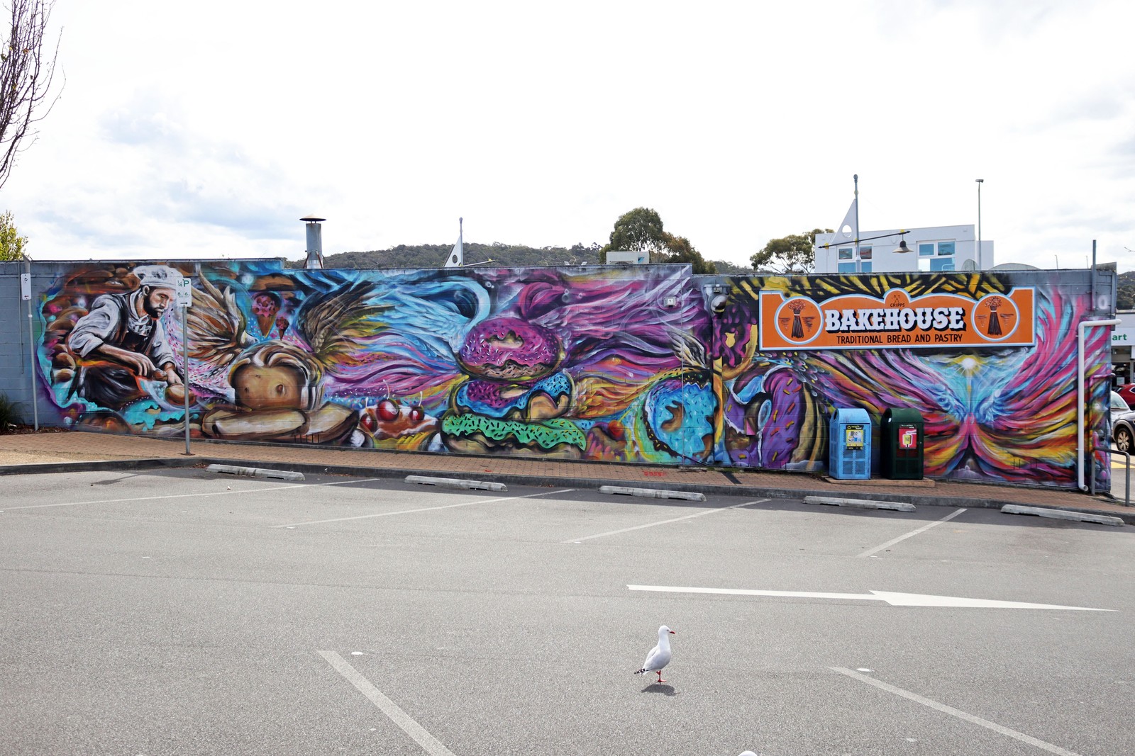 Untitled by Rhys Williams | Street Art NSW
