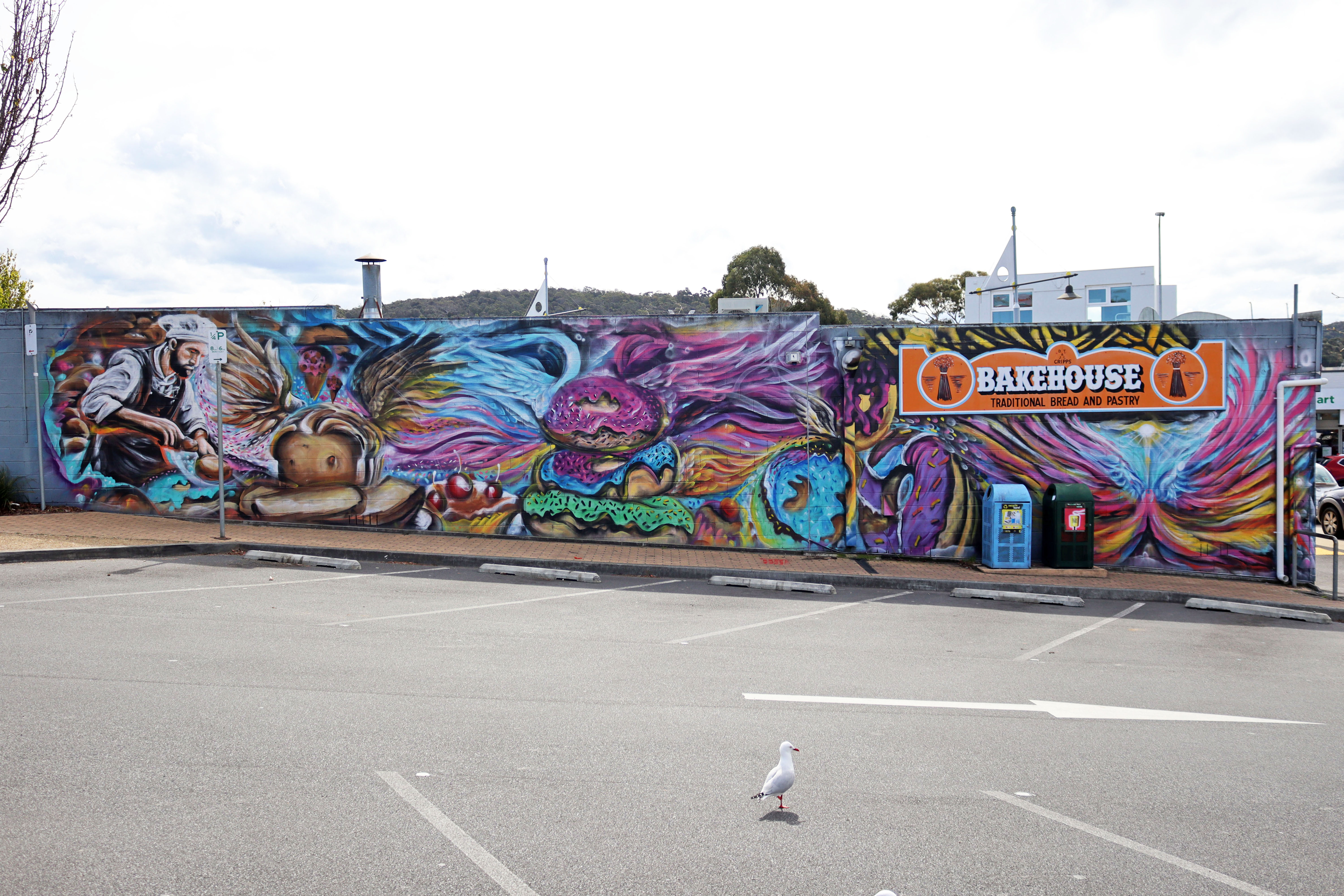 Untitled by Rhys Williams | Street Art NSW