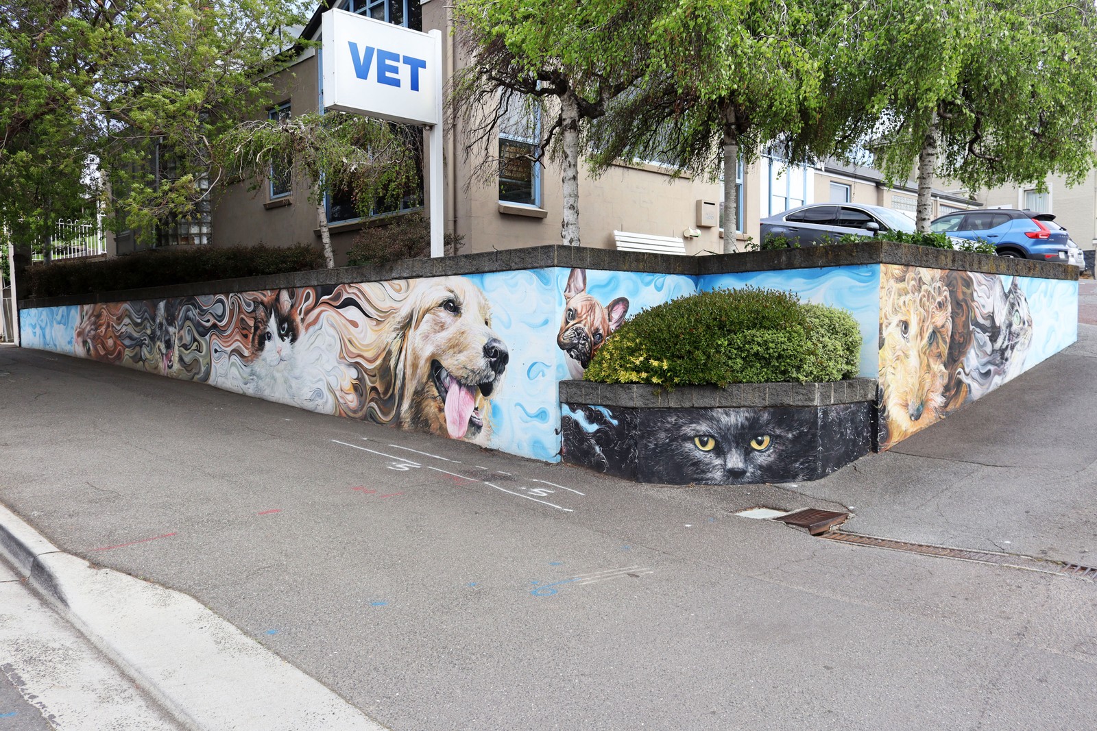 Animal Medical Centre by Josh Foley | Street Art NSW