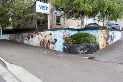 Animal Medical Centre
