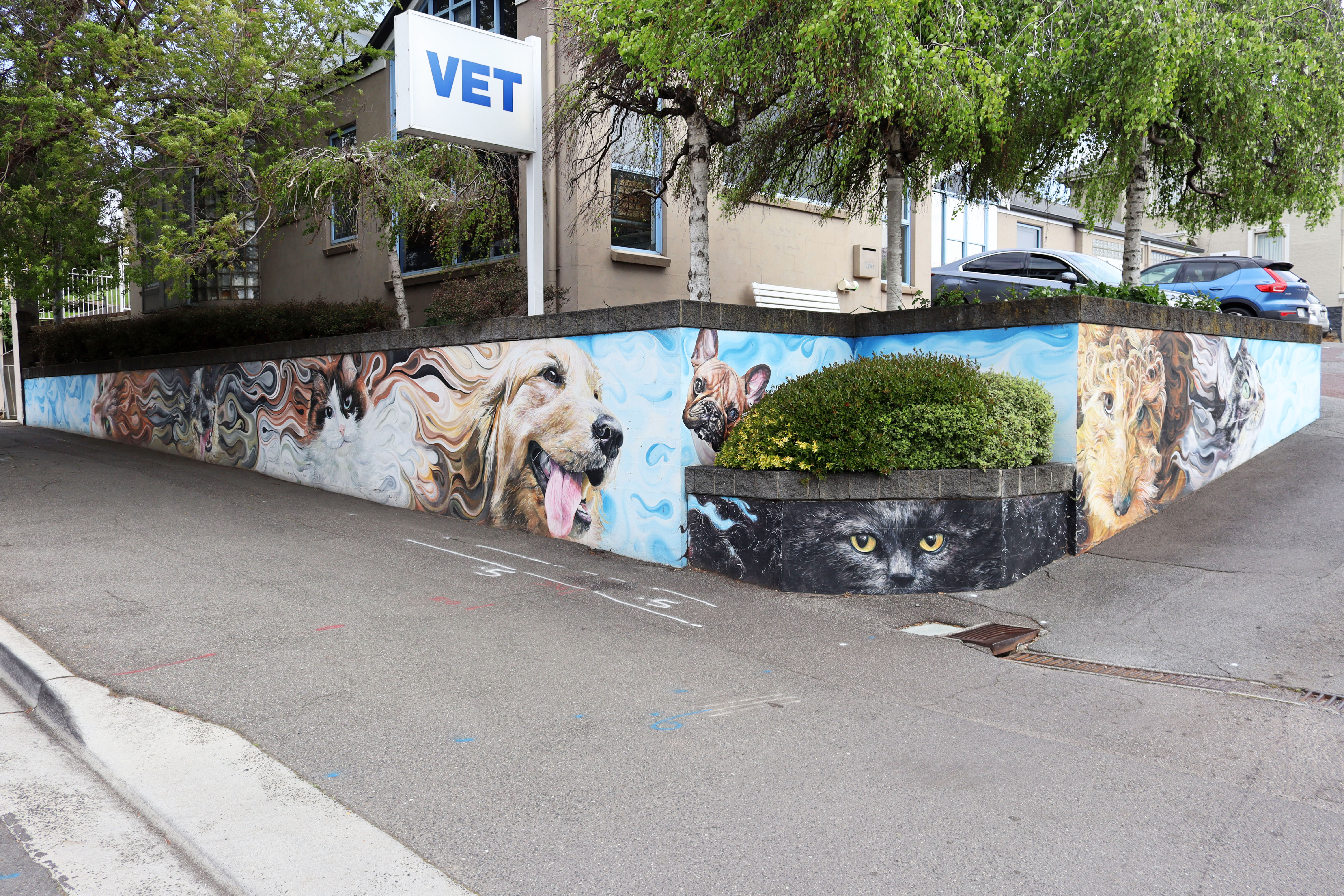 Animal Medical Centre