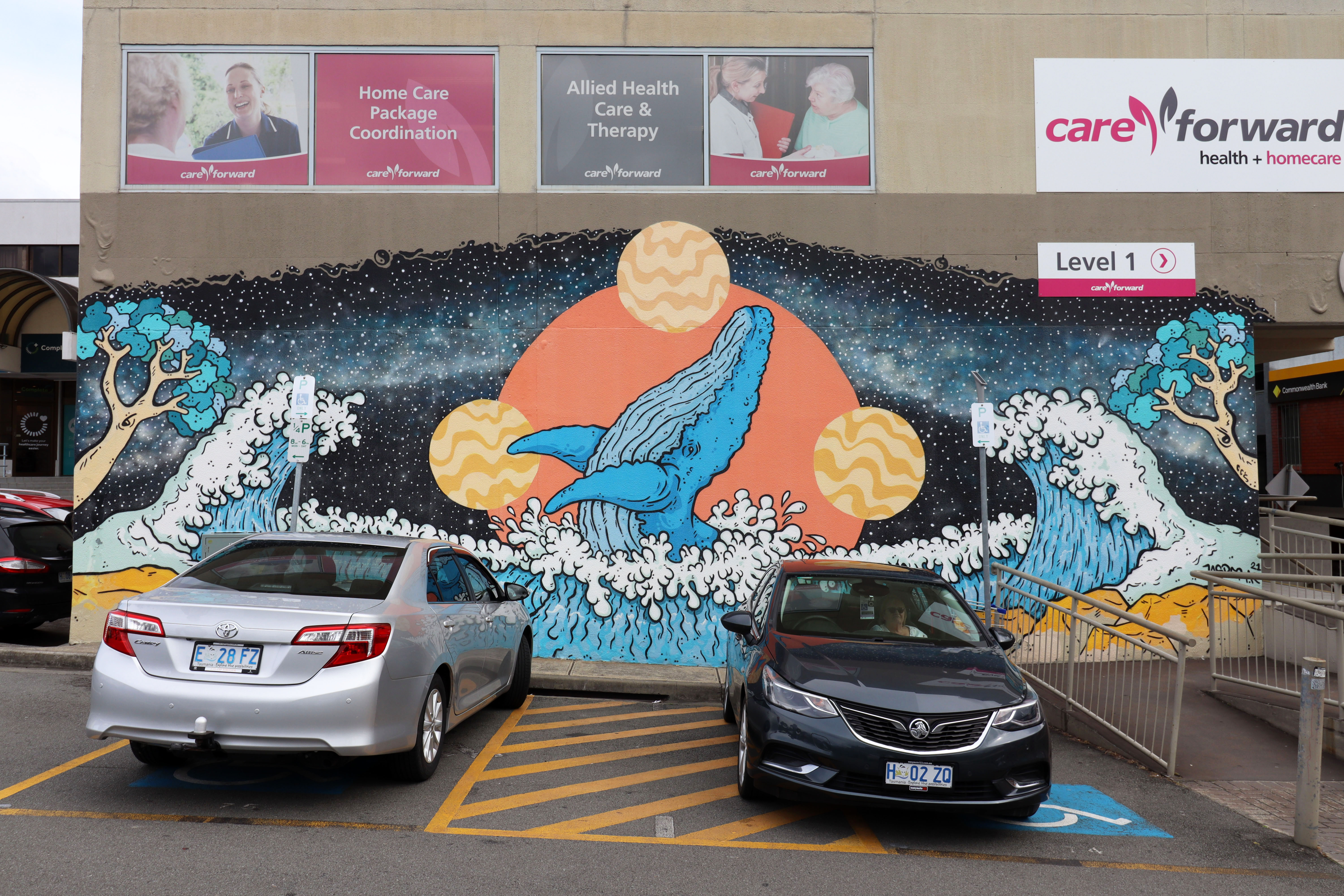 Cosmic Whale