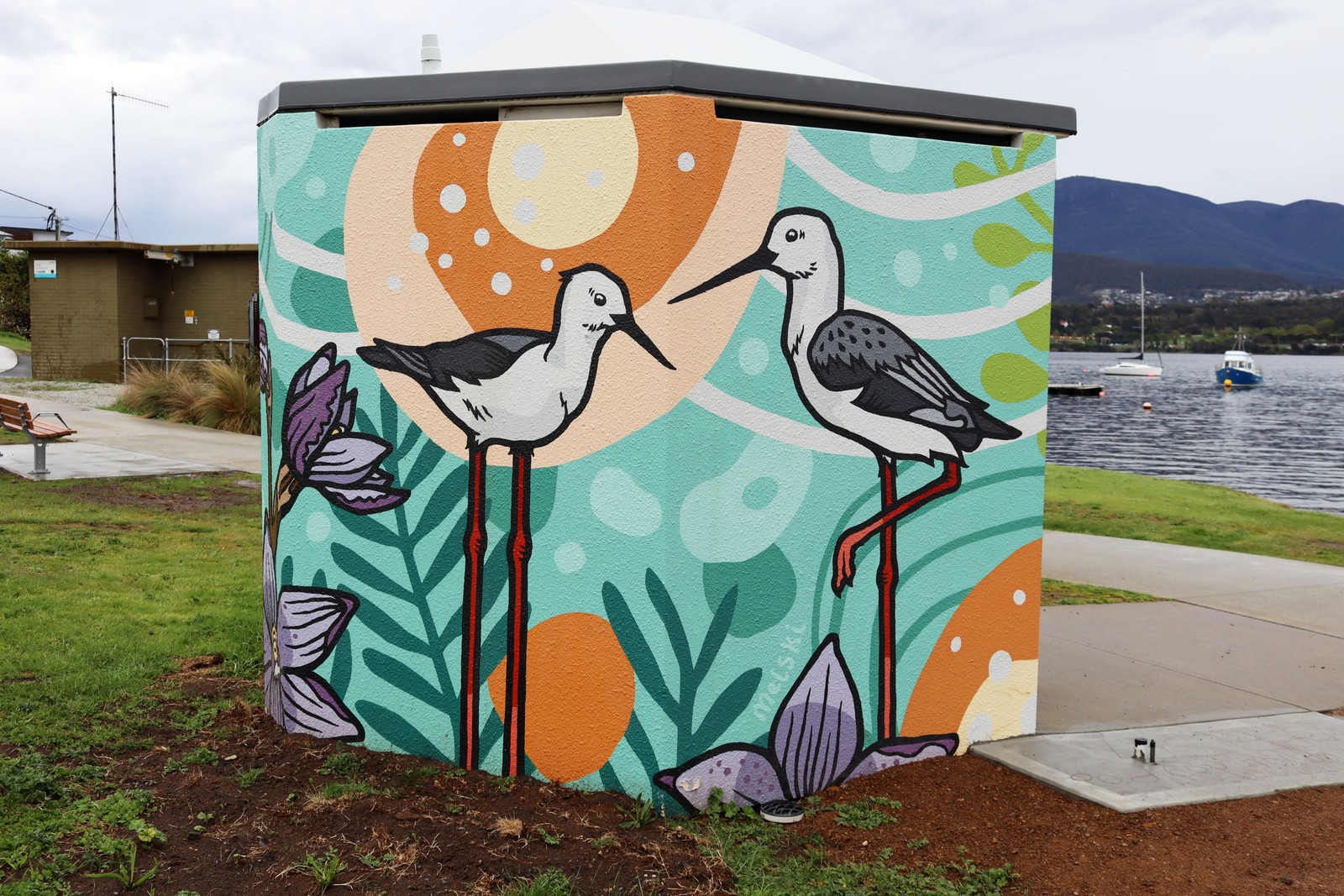 Banded Stilts and Sun Orchids by Melski McVee | Street Art NSW