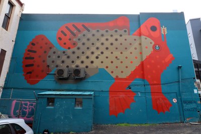 Tasmanian Red Handfish