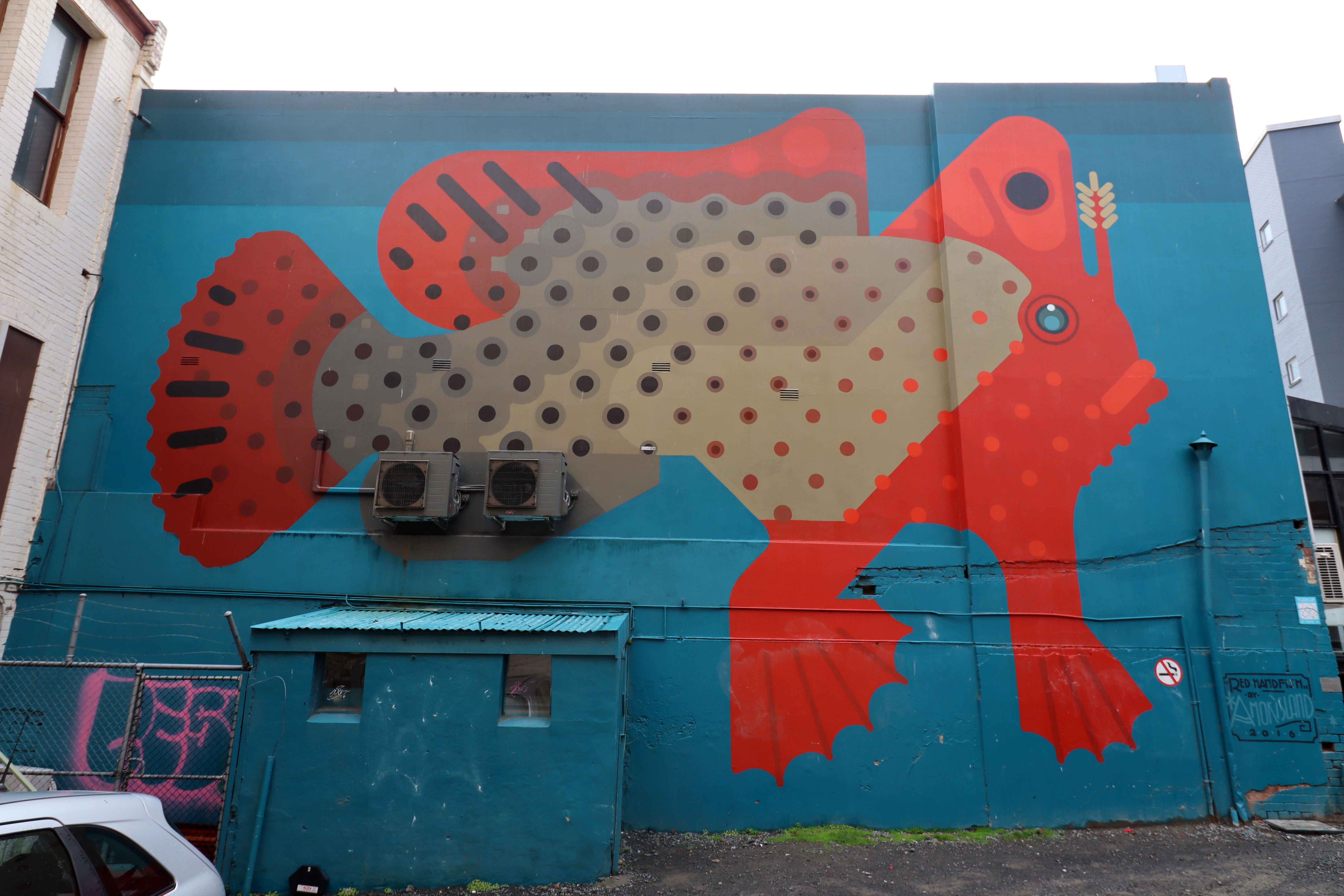 Tasmanian Red Handfish