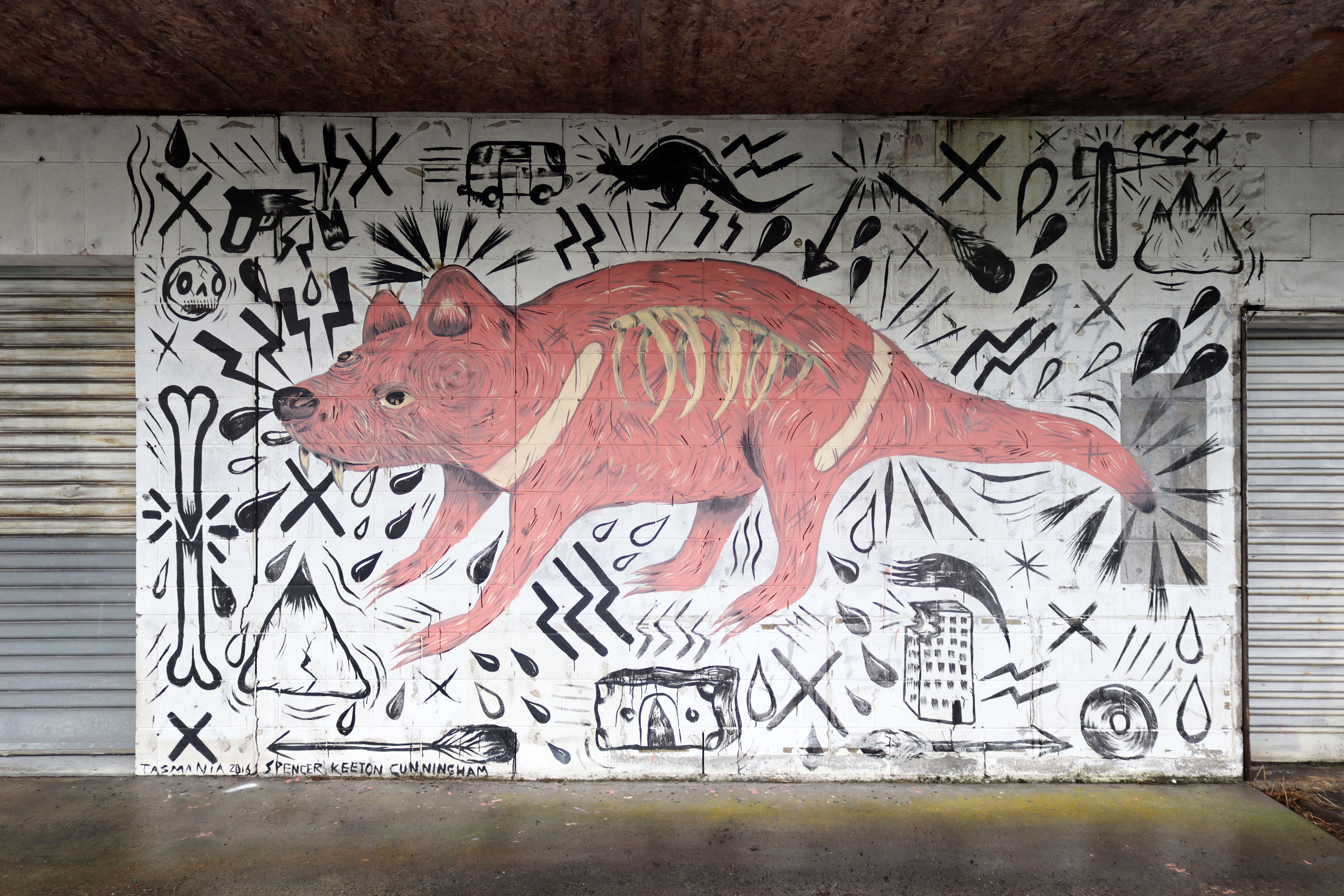 Tasmanian Devil by Spencer Keeton Cunningham | Street Art NSW