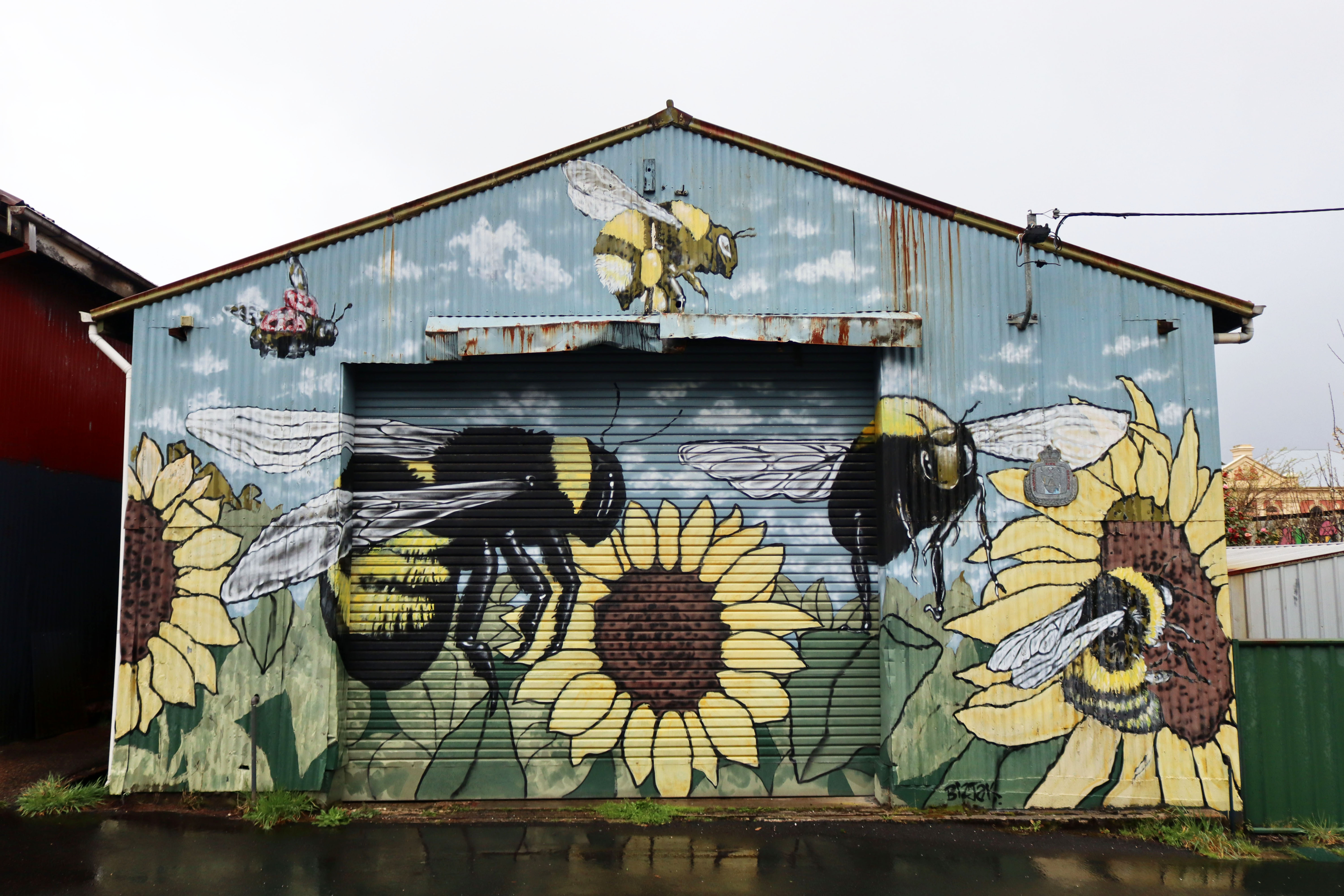 Untitled by Conrad Bizjak | Street Art NSW