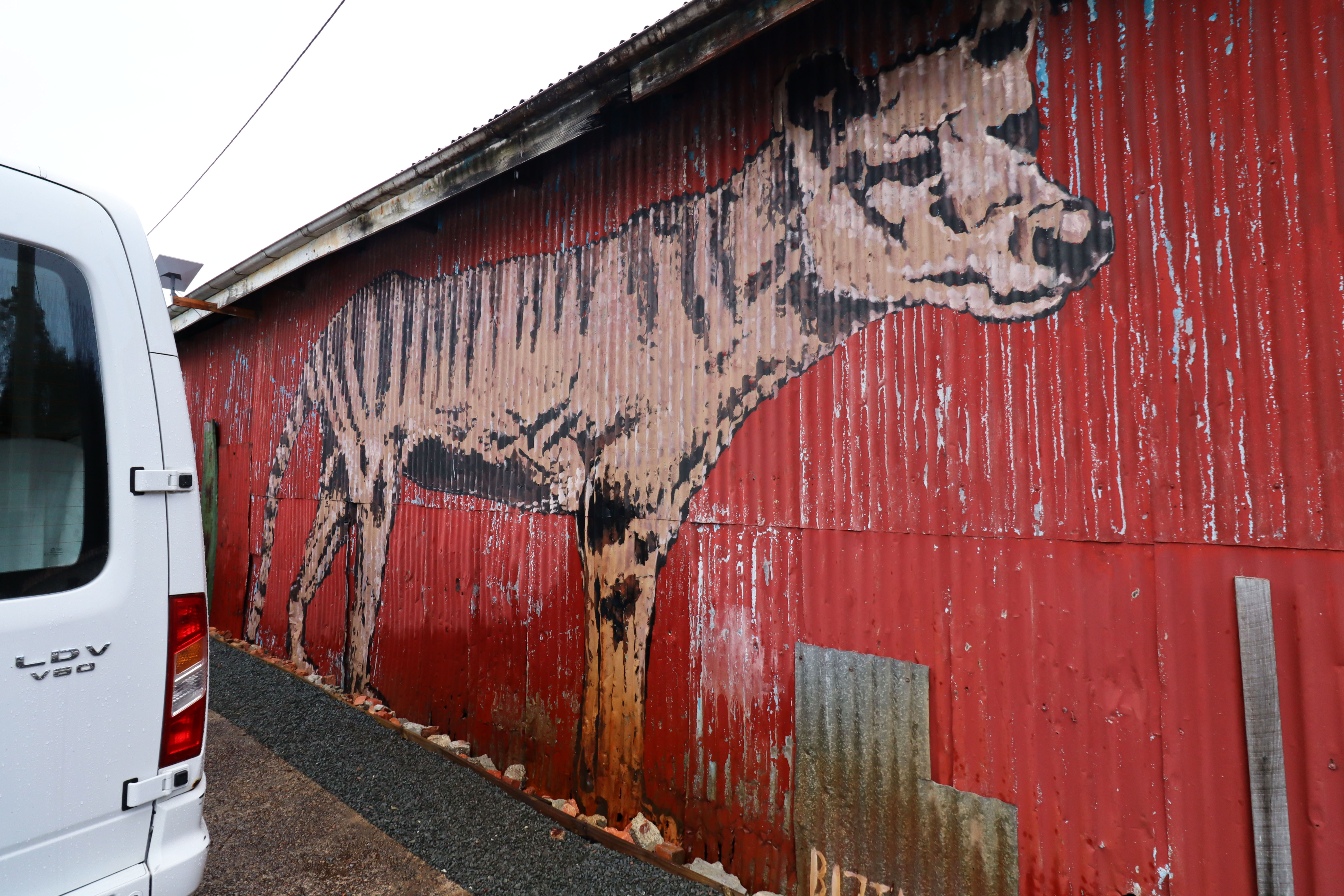 Tasmanian Tiger by Conrad Bizjak | Street Art NSW