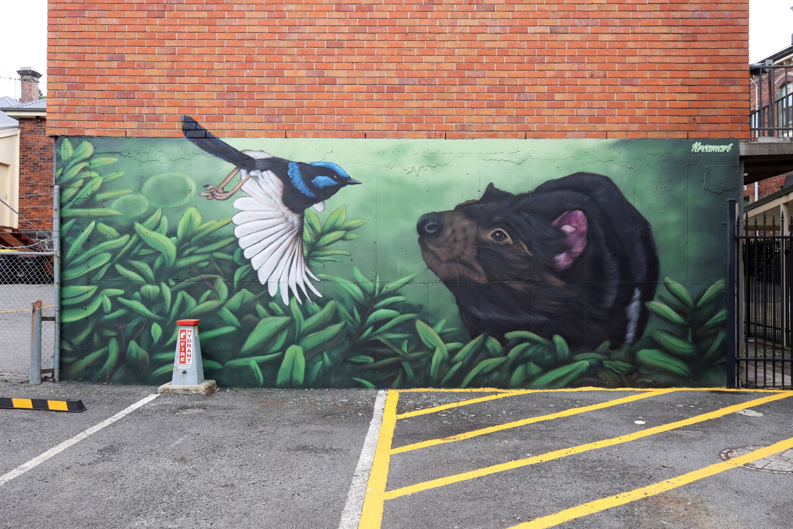 Tasmanian Devil & Superb Fairywren by KreamArt | Street Art NSW