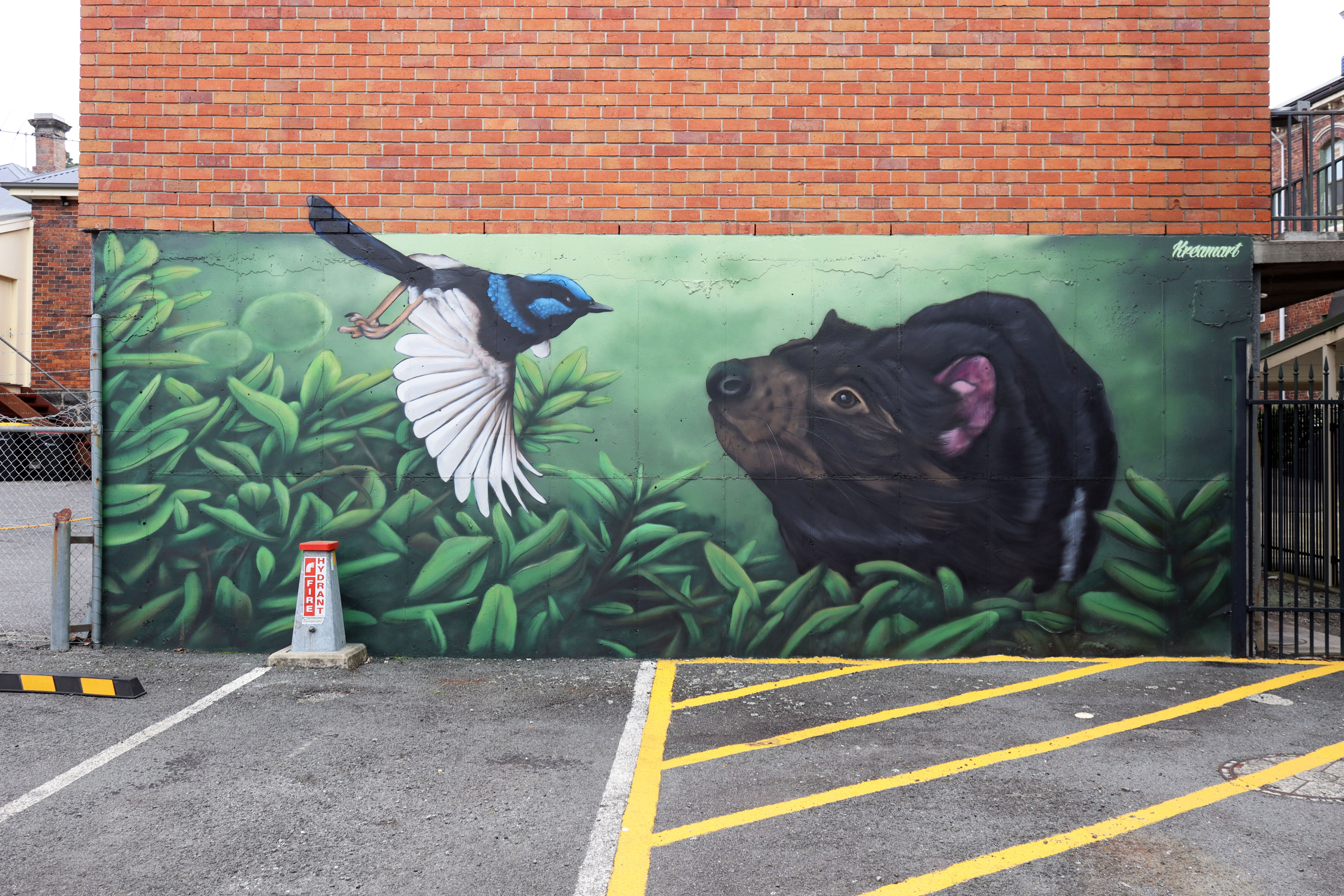 Tasmanian Devil & Superb Fairywren
