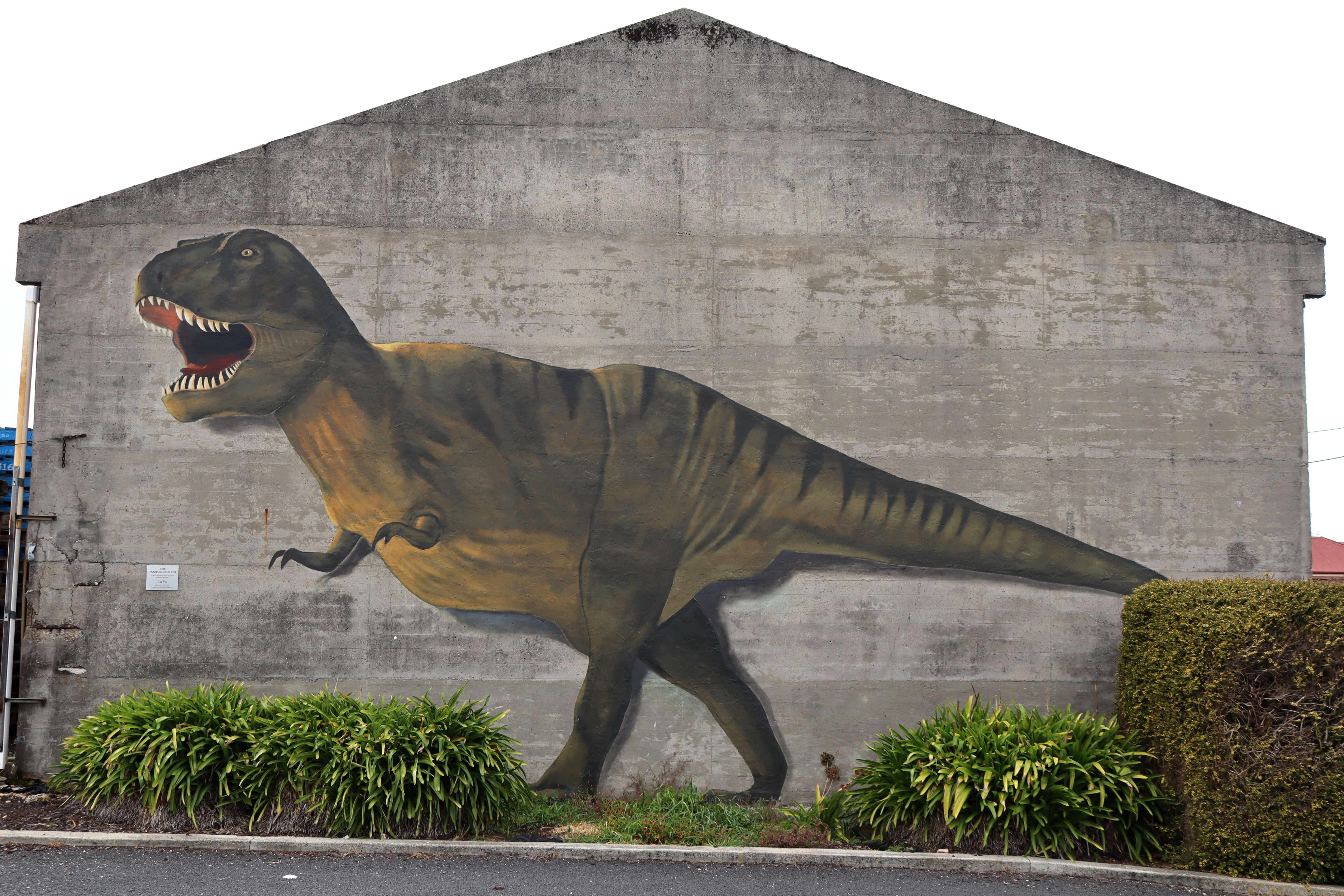 The Tazzyosaurus Rex