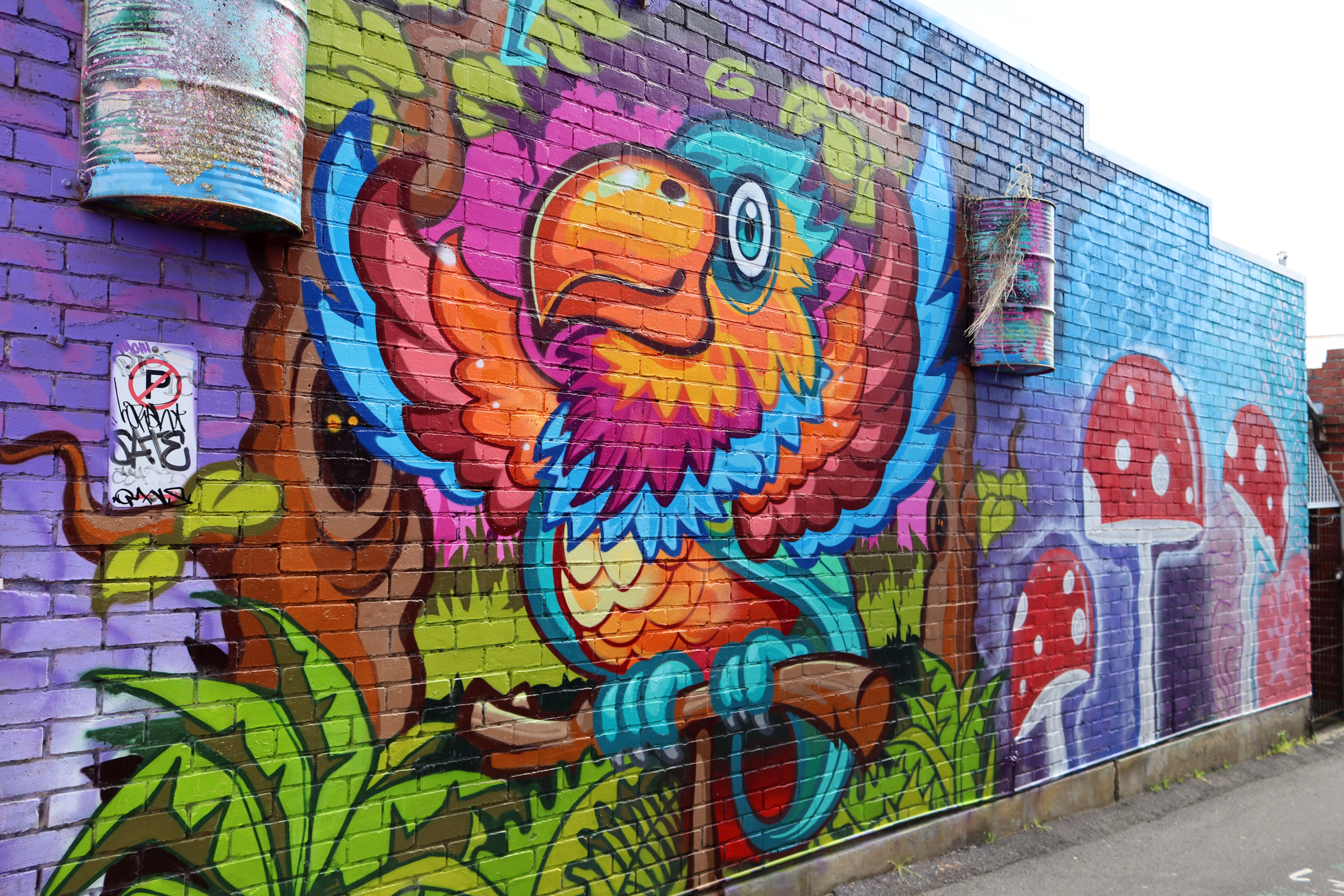 Birds of Moonah