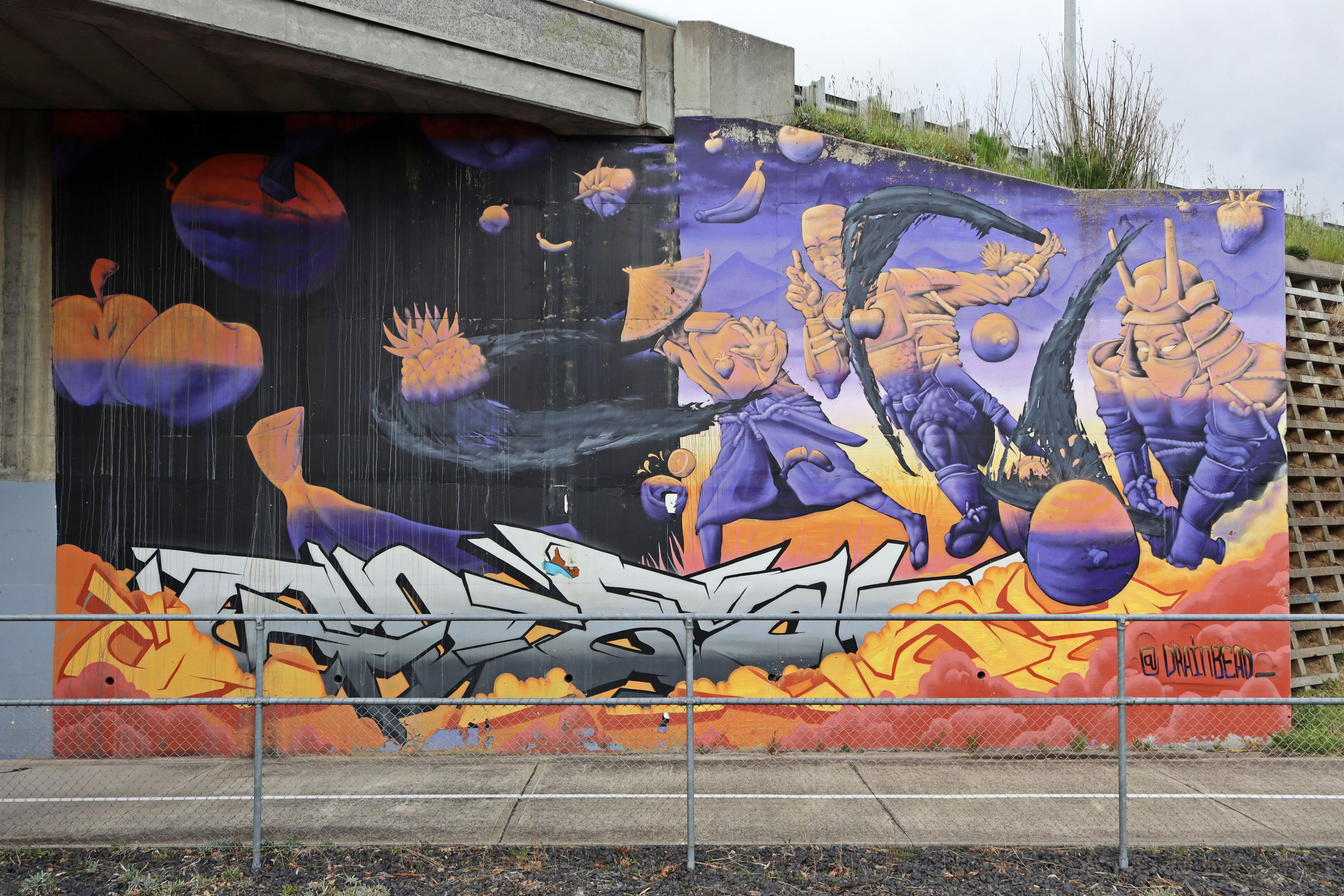 Untitled by Todd Jacobson | Street Art NSW