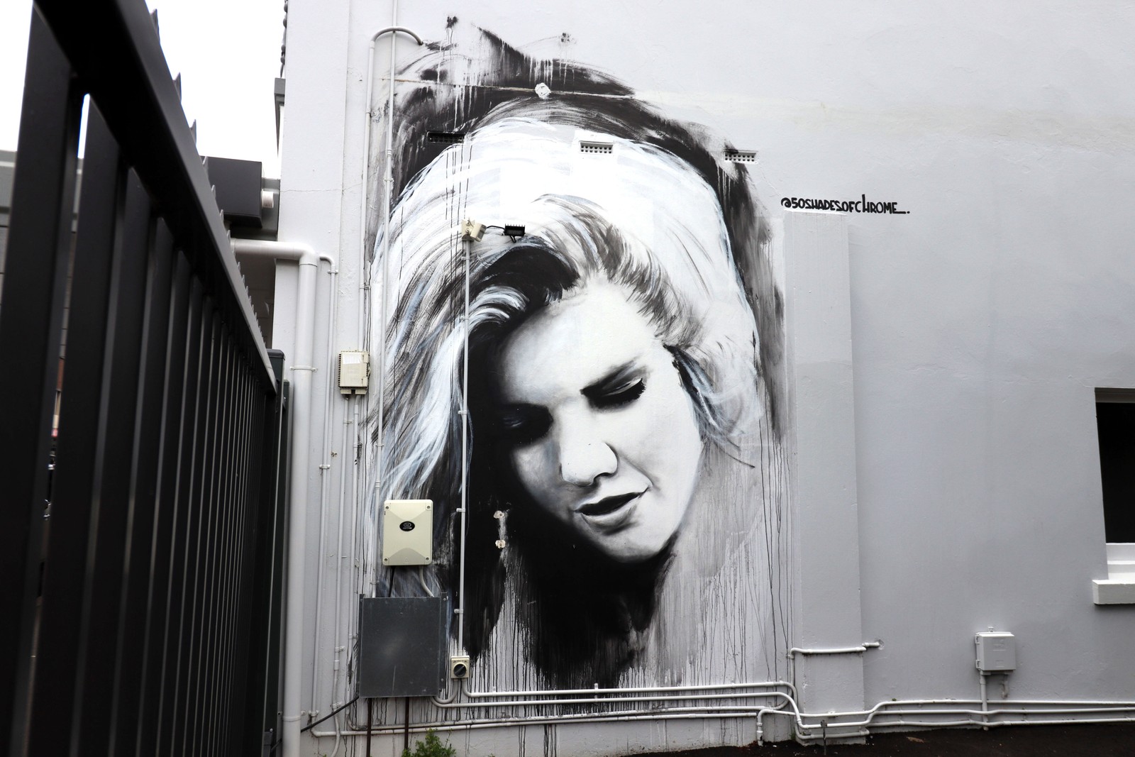 Untitled by Patrick Camino | Street Art NSW