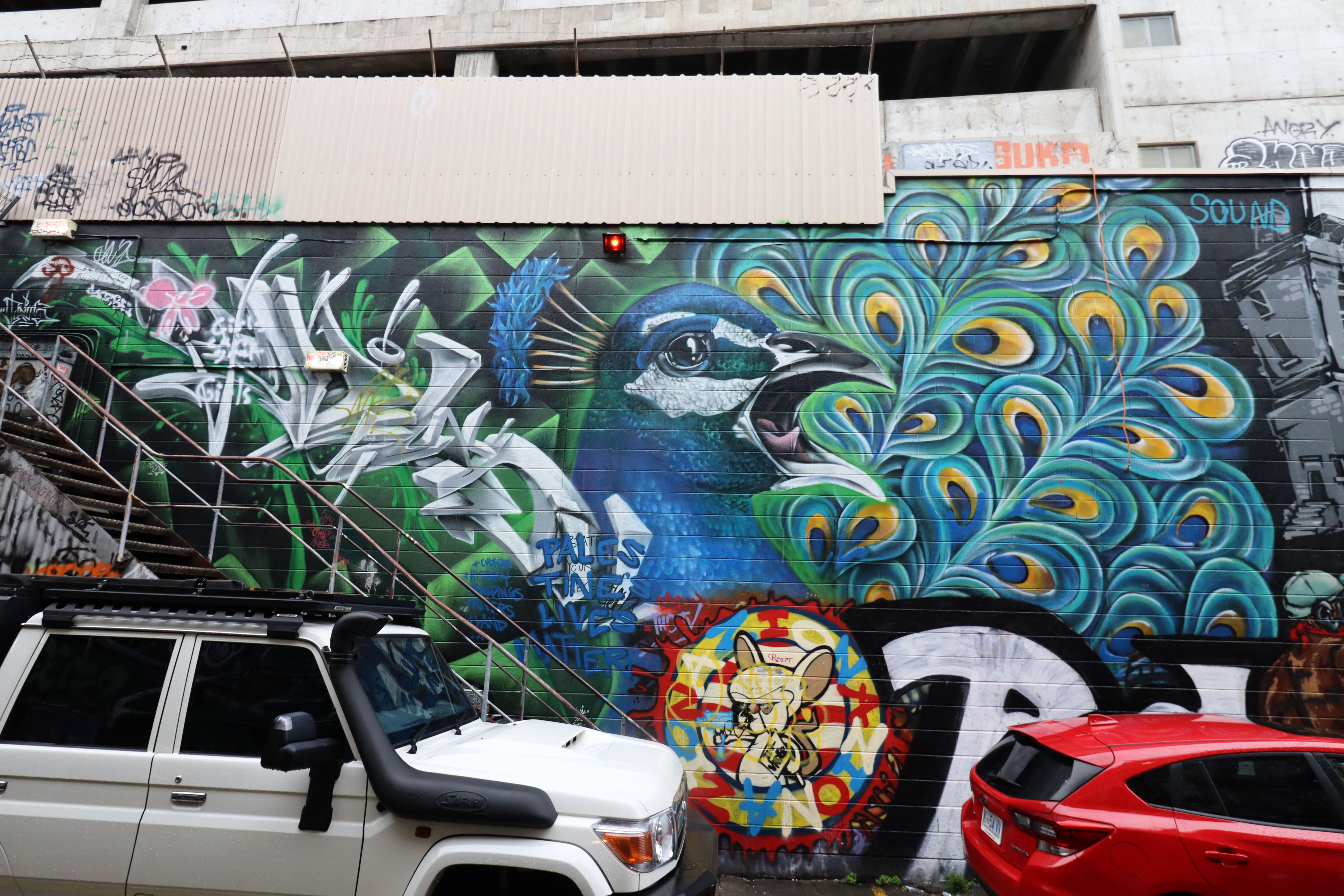 Untitled by Odie | Street Art NSW