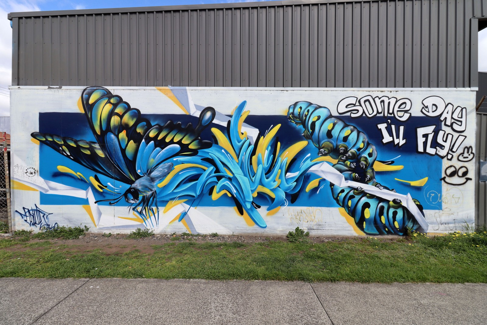 Some Day I'll Fly! by Odie | Street Art NSW