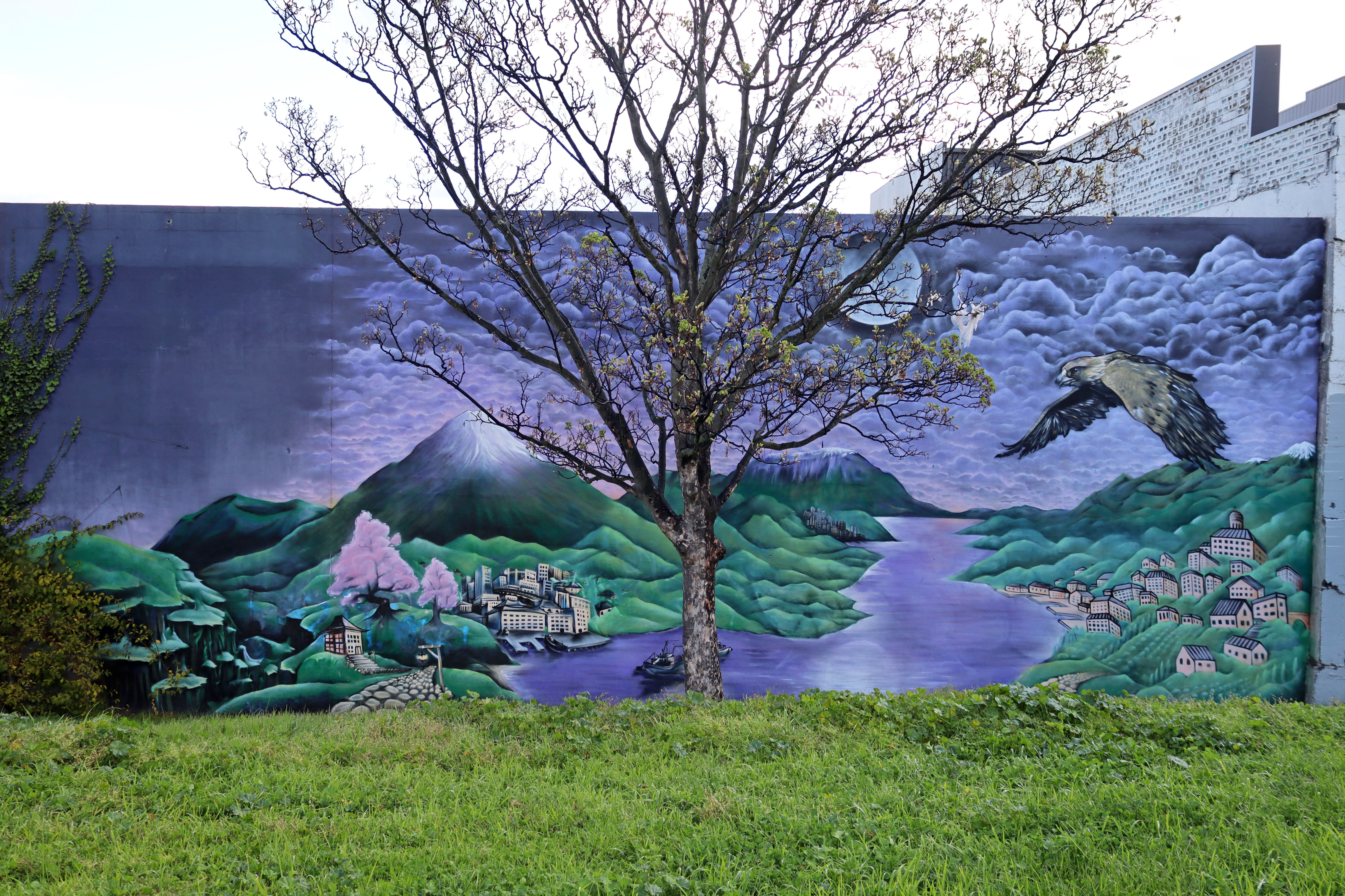 Untitled by Odie | Street Art NSW