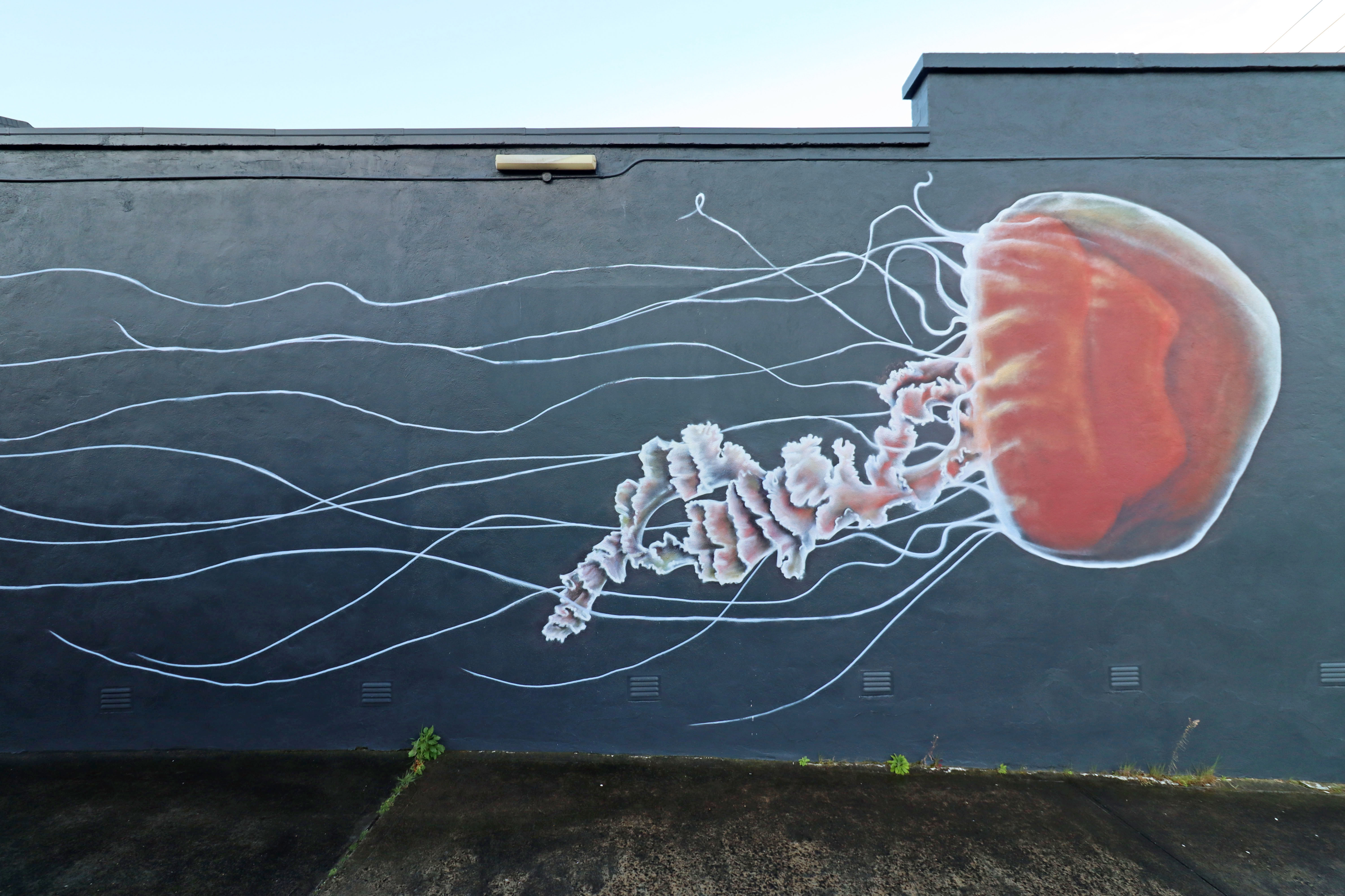 A Tassie Jellyfish by Topski | Street Art NSW