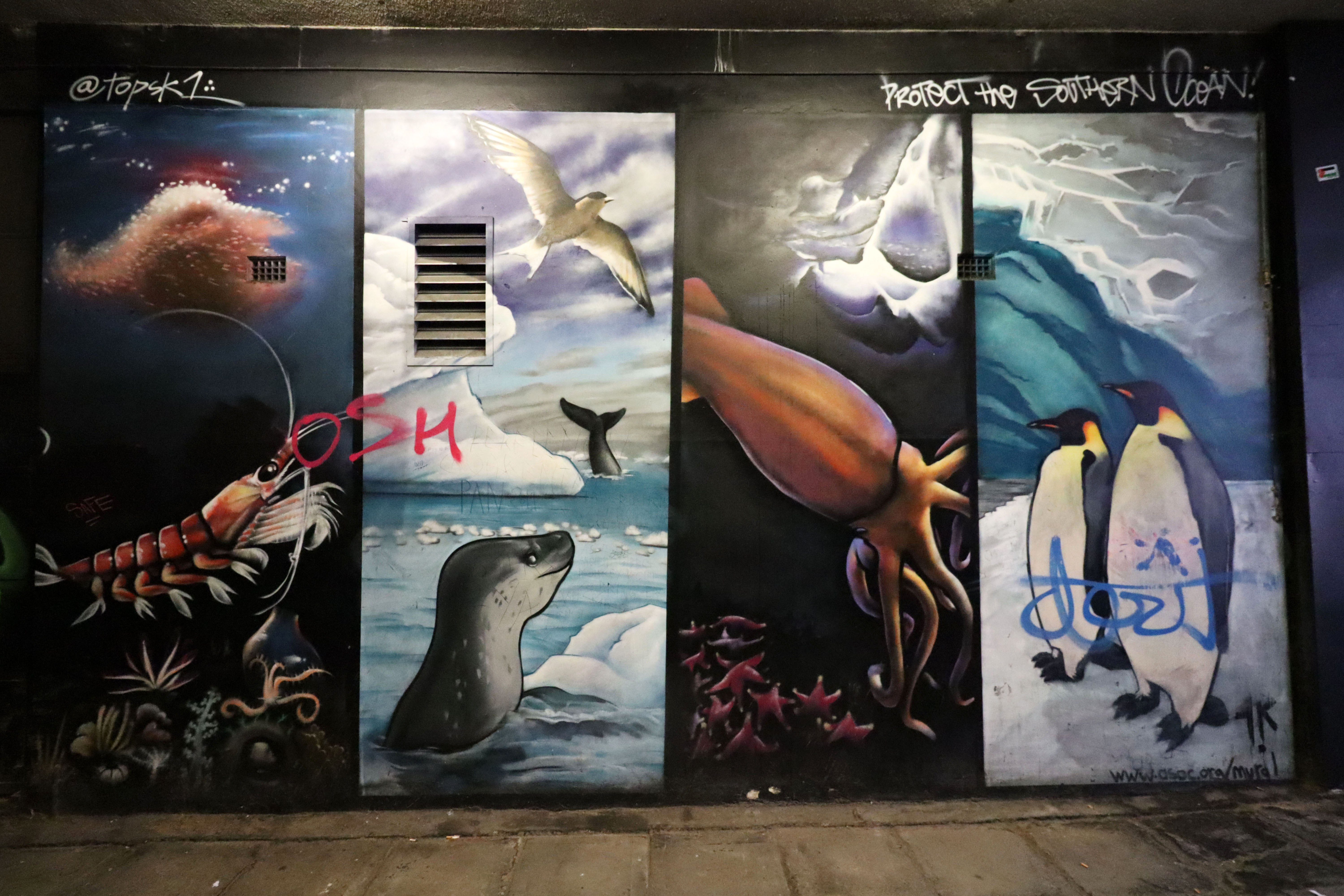 Protect the Southern Ocean