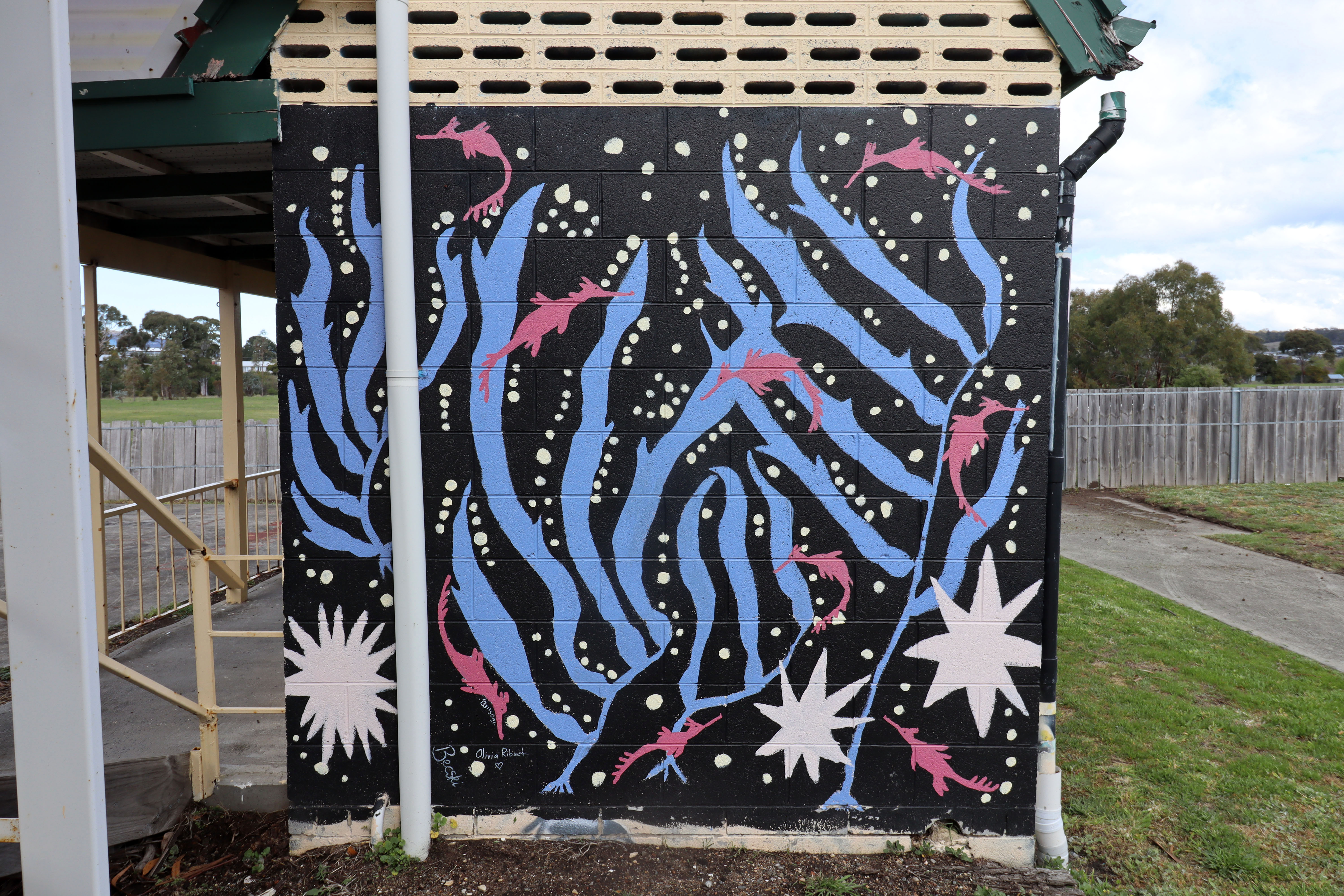 Untitled by Becski Design | Street Art NSW