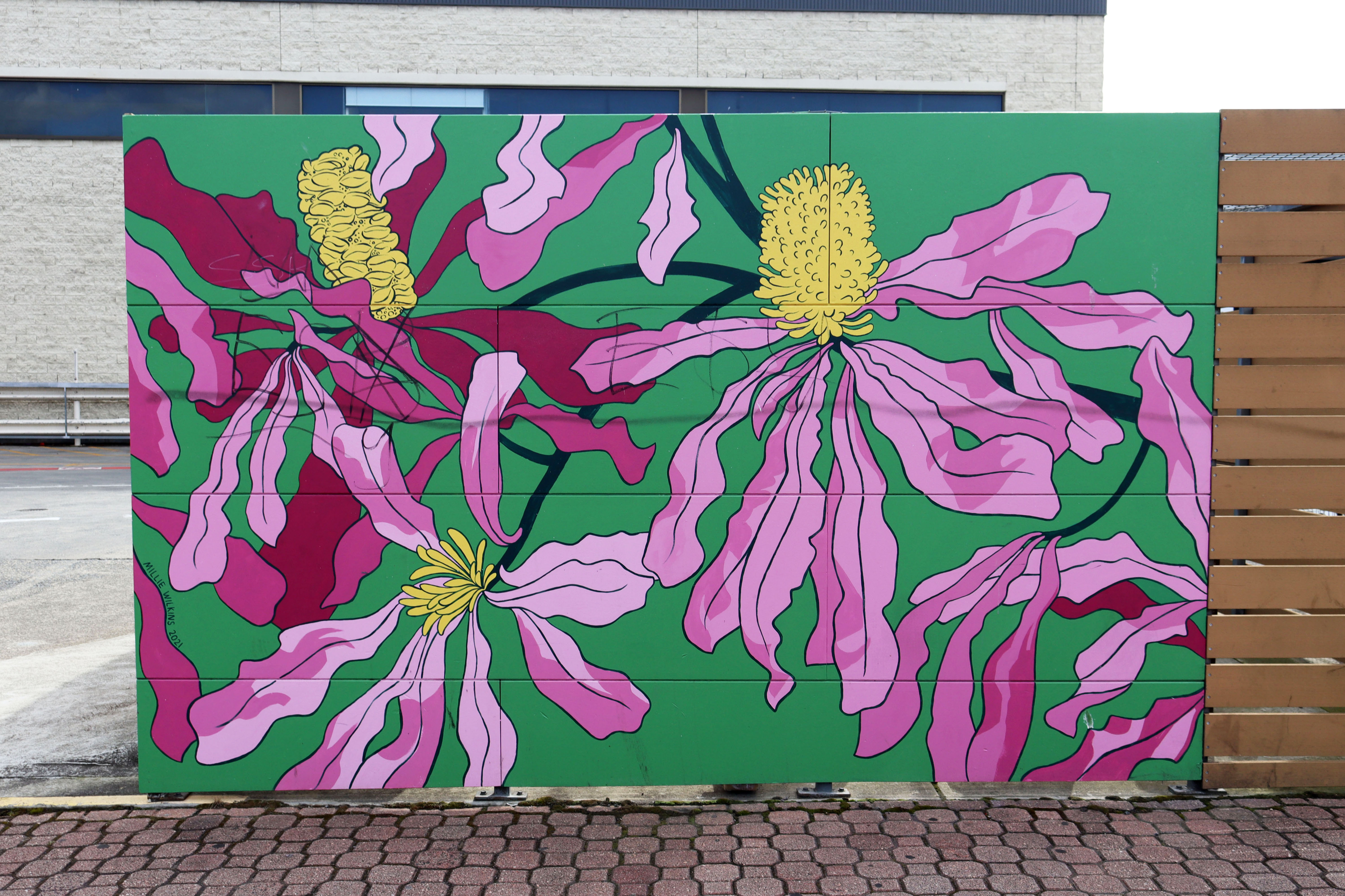 Untitled by Millie Wilkins | Street Art NSW