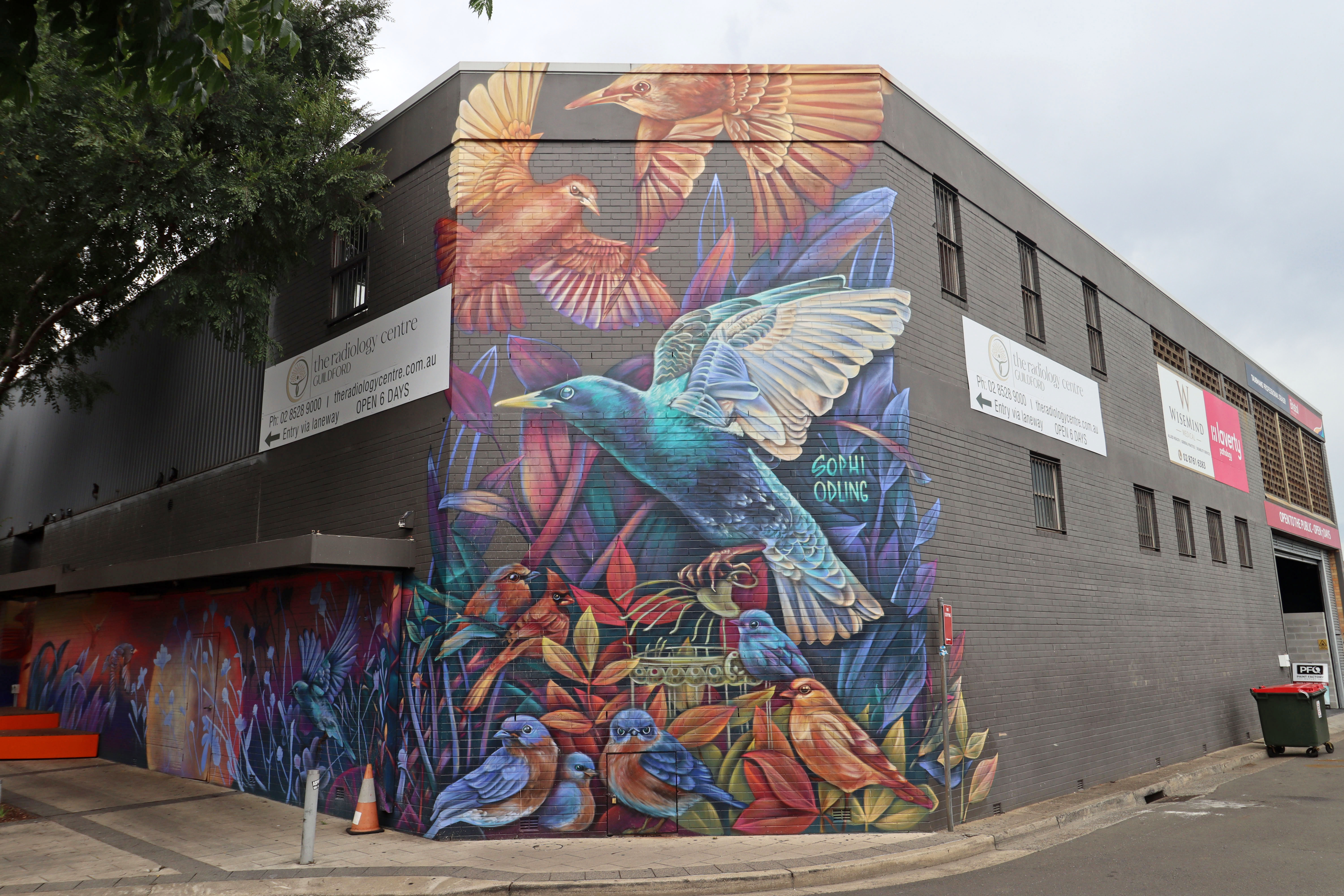 Murmurations by Sophi Odling | Street Art NSW
