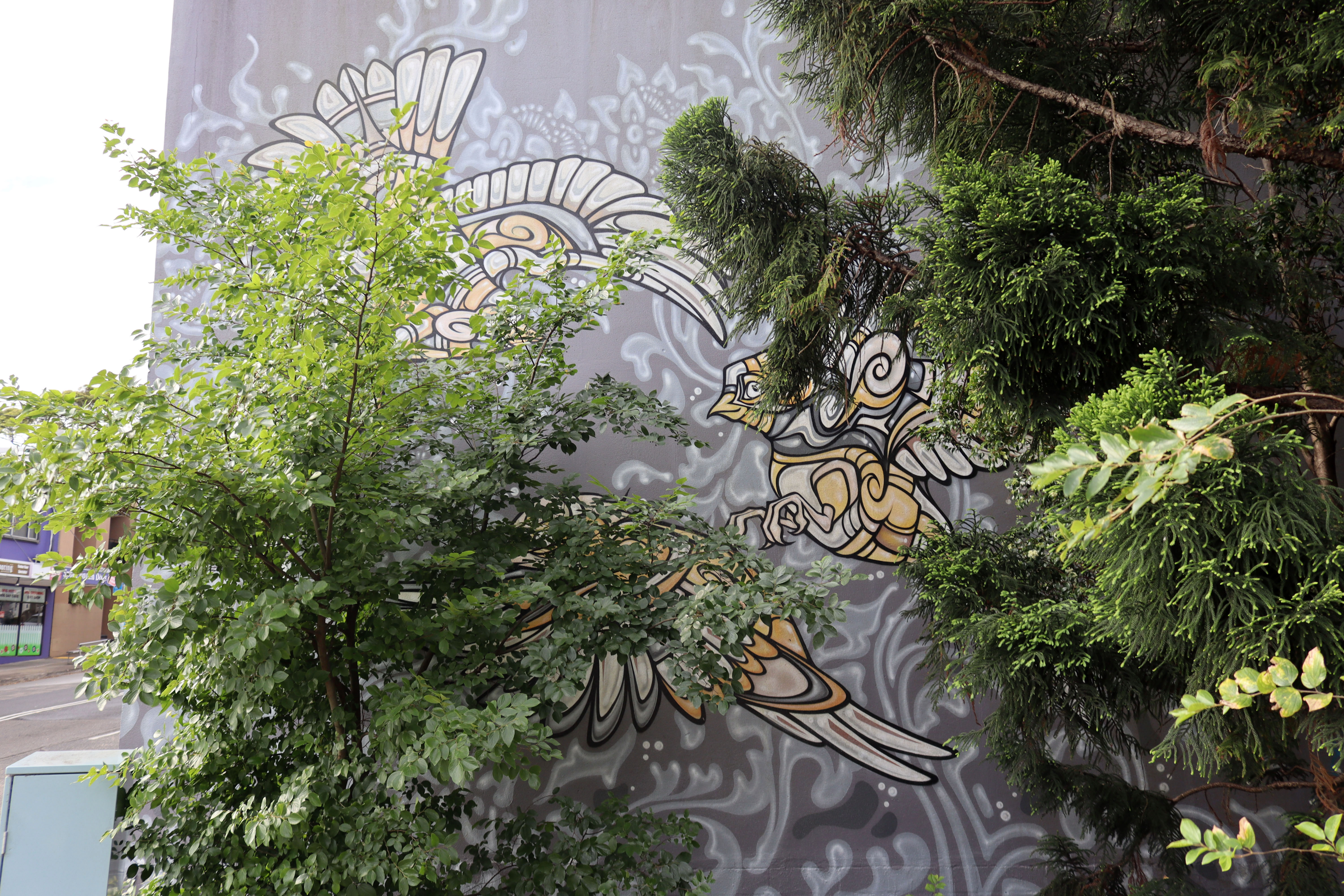 Untitled by Phibs | Street Art NSW