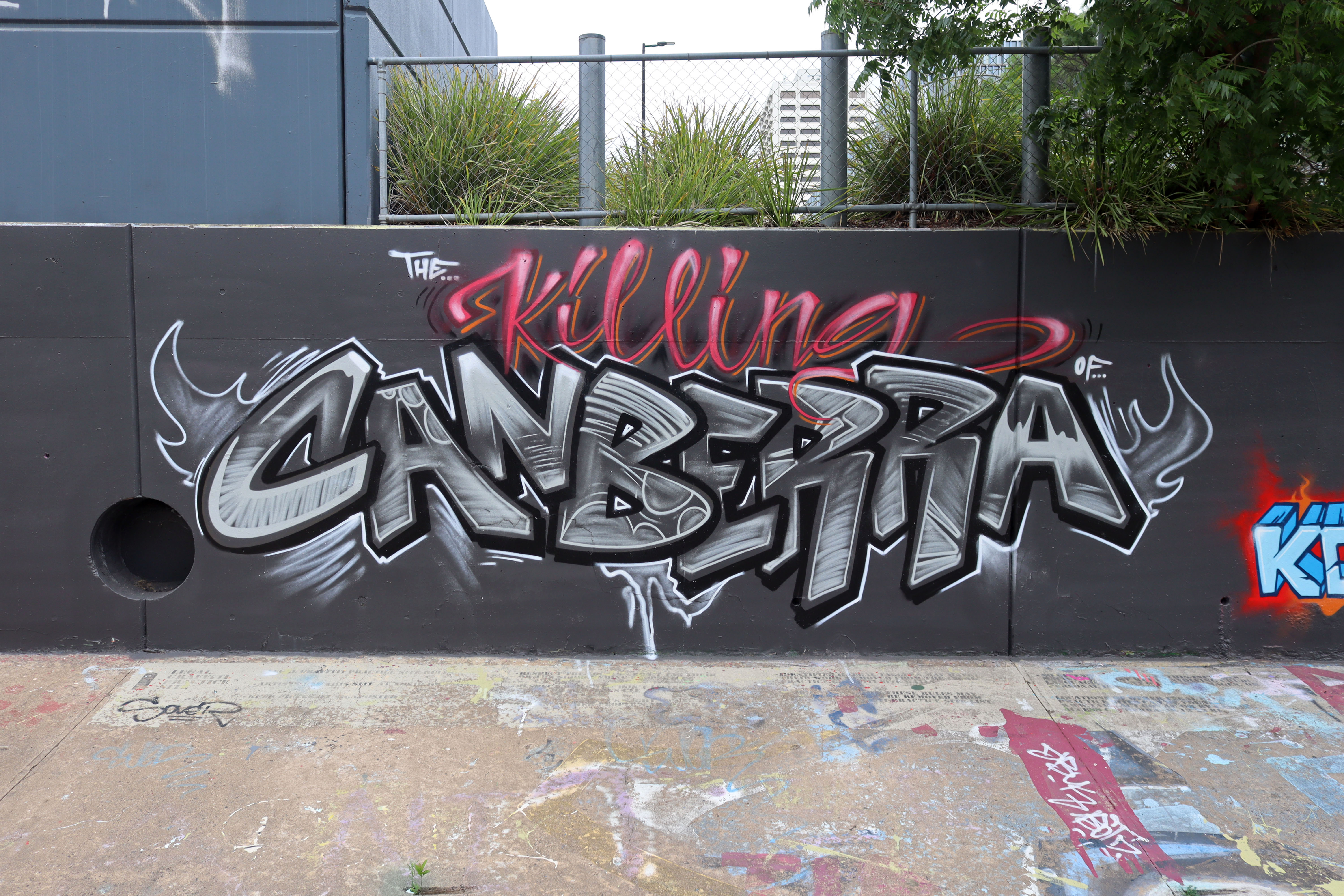 The Killing of Canberra by Various Artists | Street Art NSW
