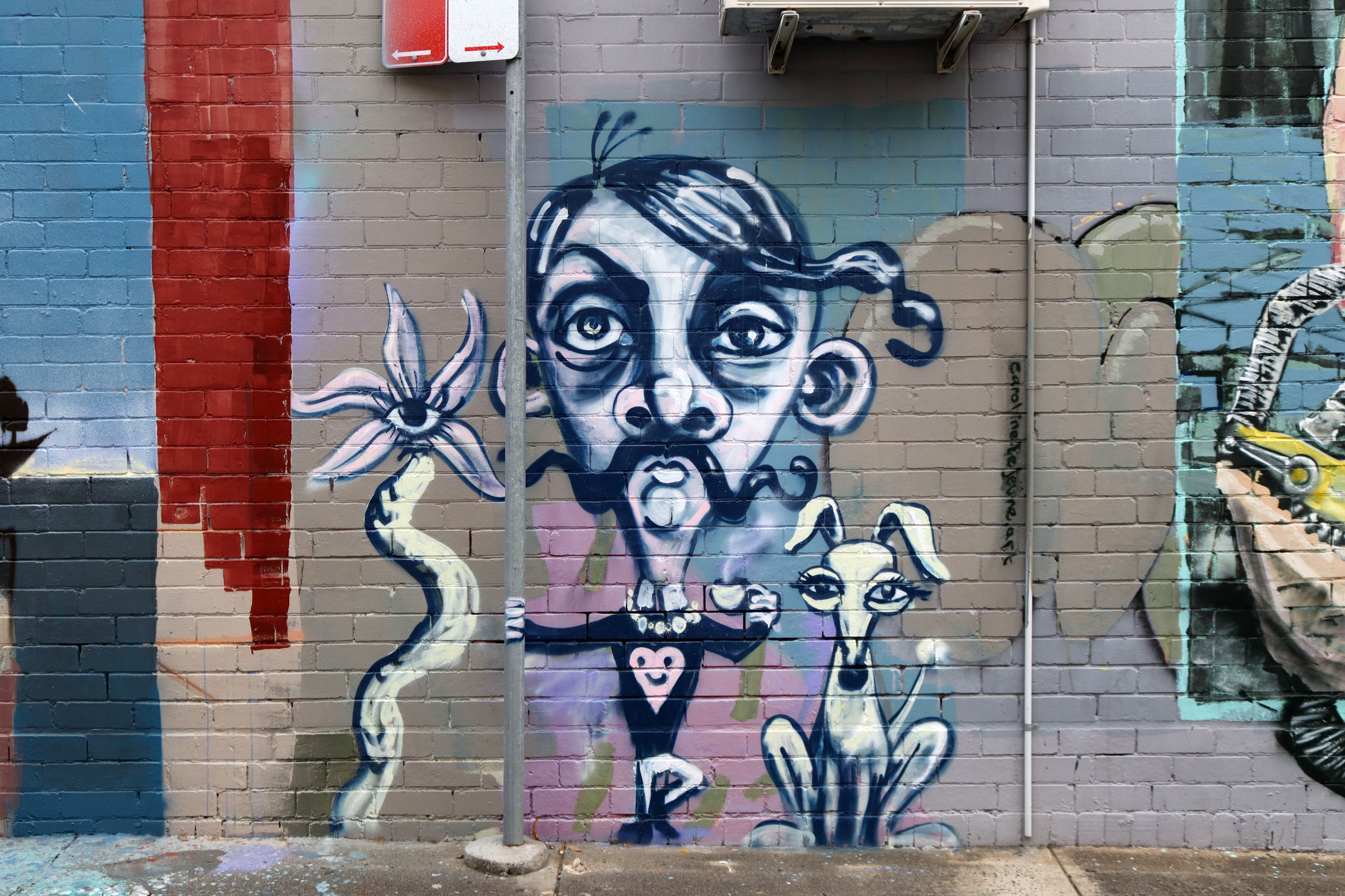 Untitled by Caroline Lejeune | Street Art NSW