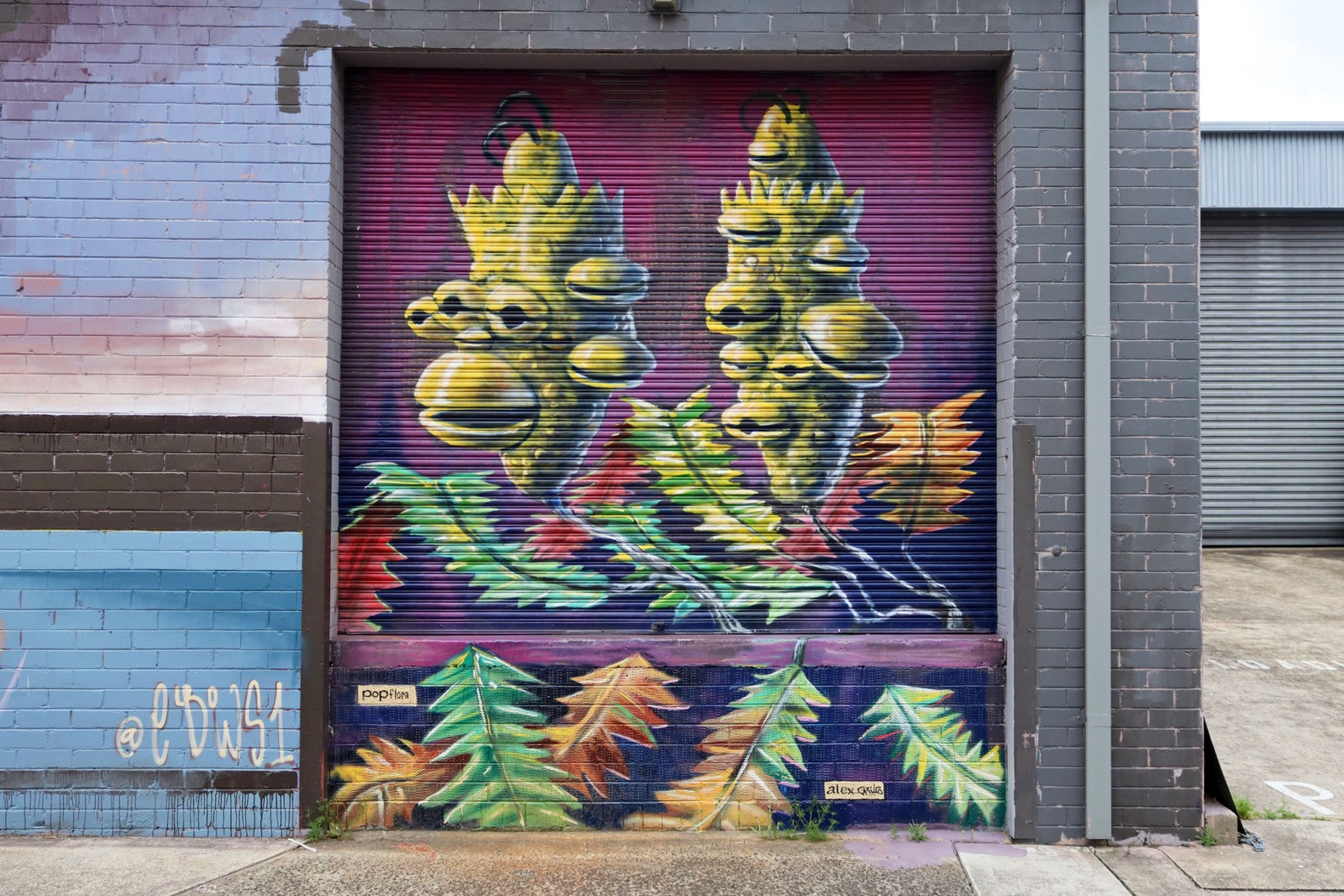 The Banksiasons by Alex Grils | Street Art NSW