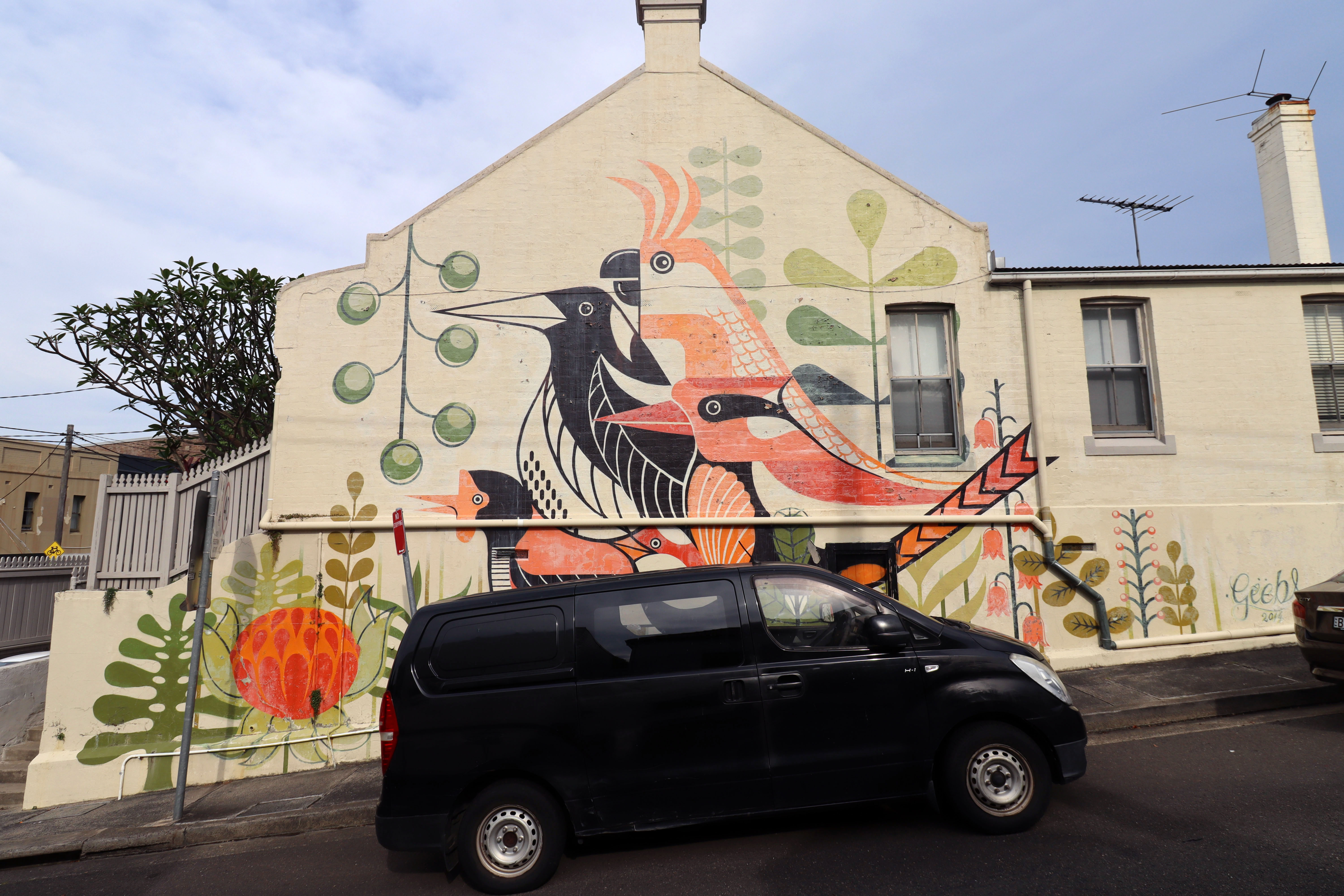 Annandale Birds