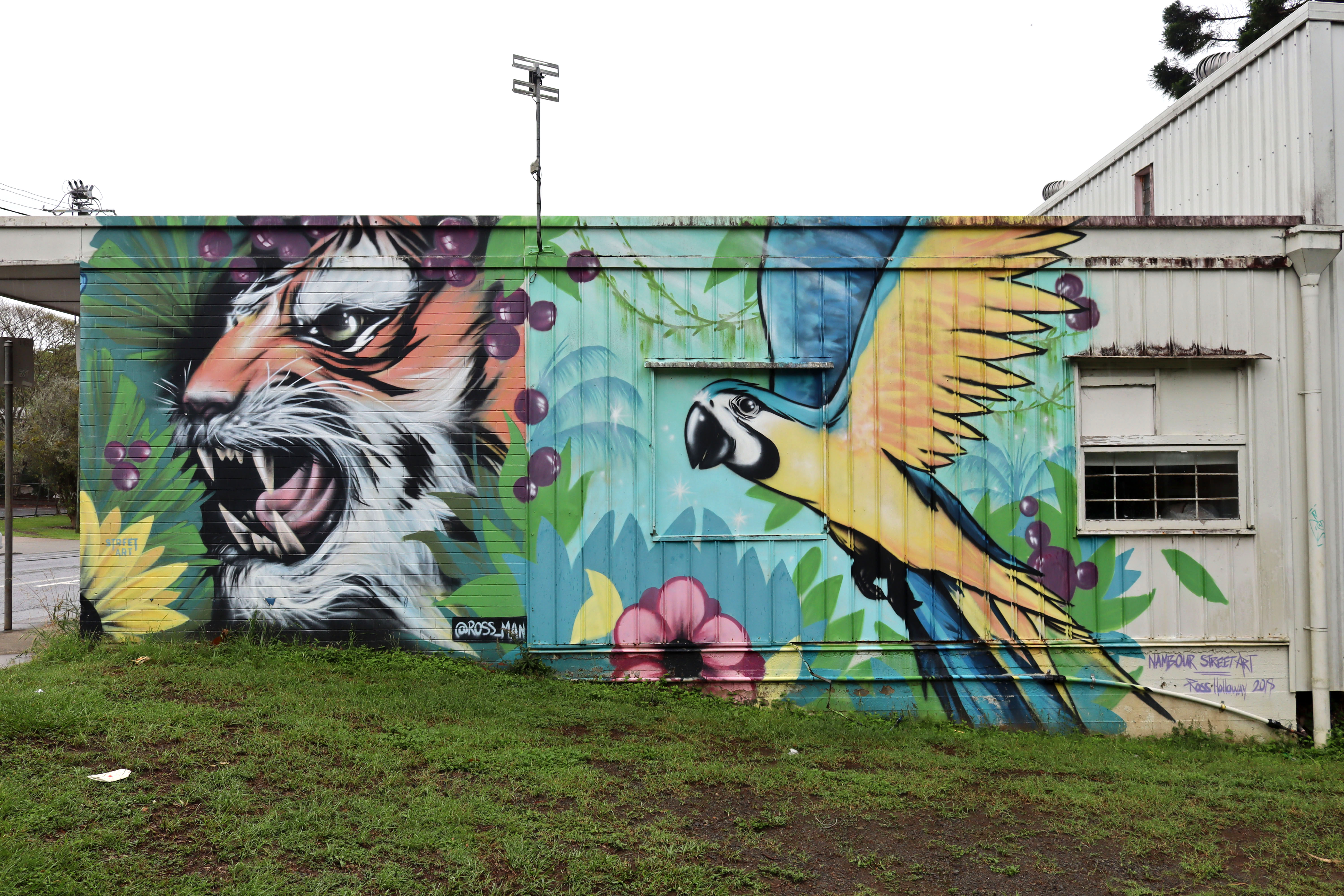 Tiger Tamer by Ross Holloway | Street Art NSW