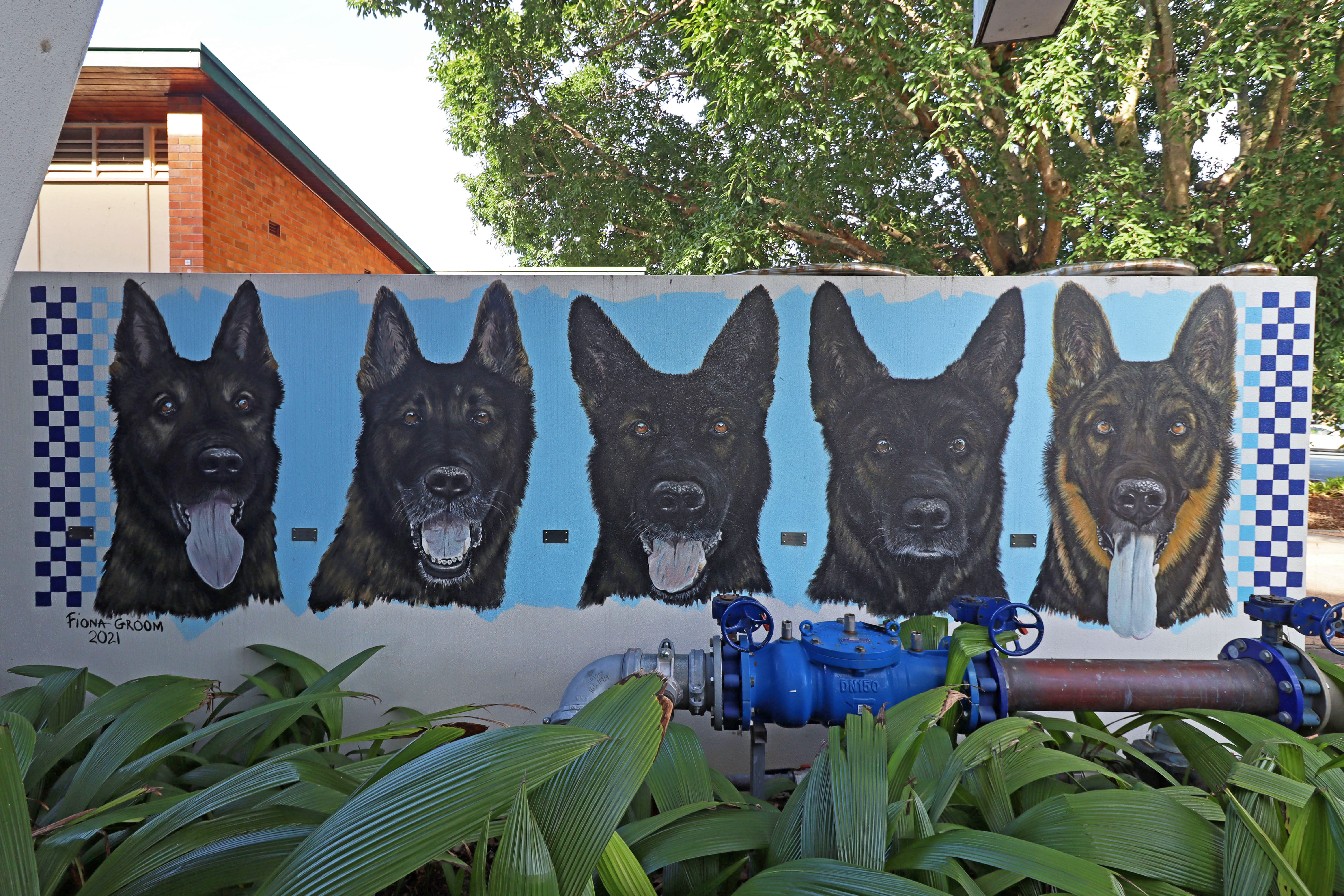 Police Dogs by Fiona Groom | Street Art NSW