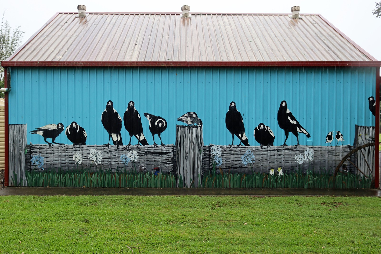 Untitled by Fiona Groom | Street Art NSW