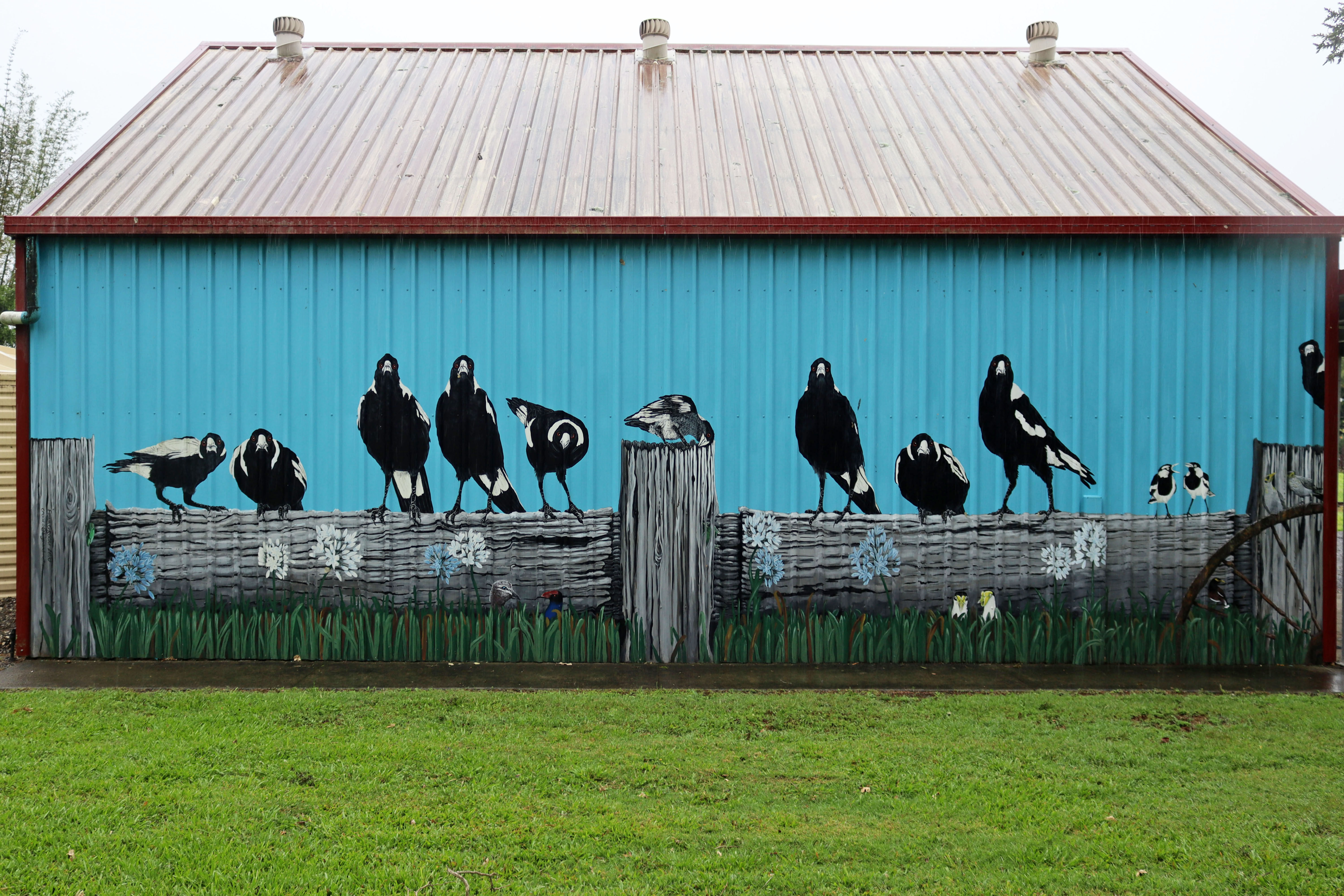 Untitled by Fiona Groom | Street Art NSW