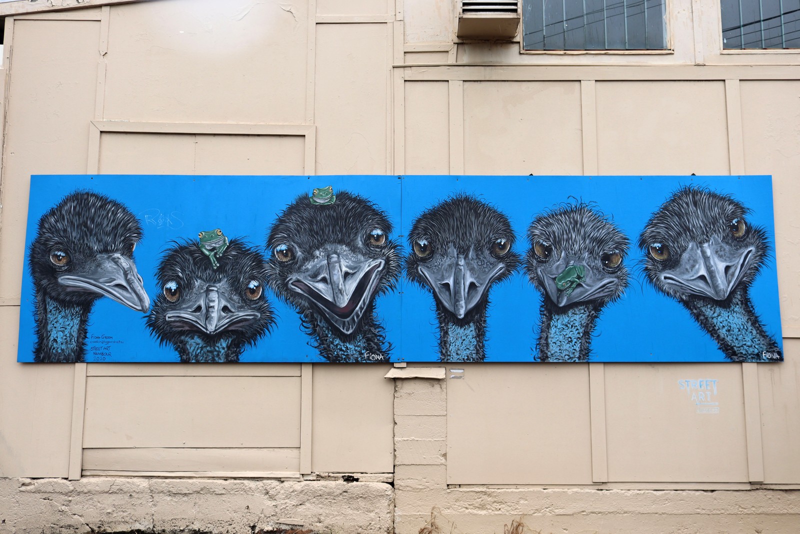 Untitled by Fiona Groom | Street Art NSW