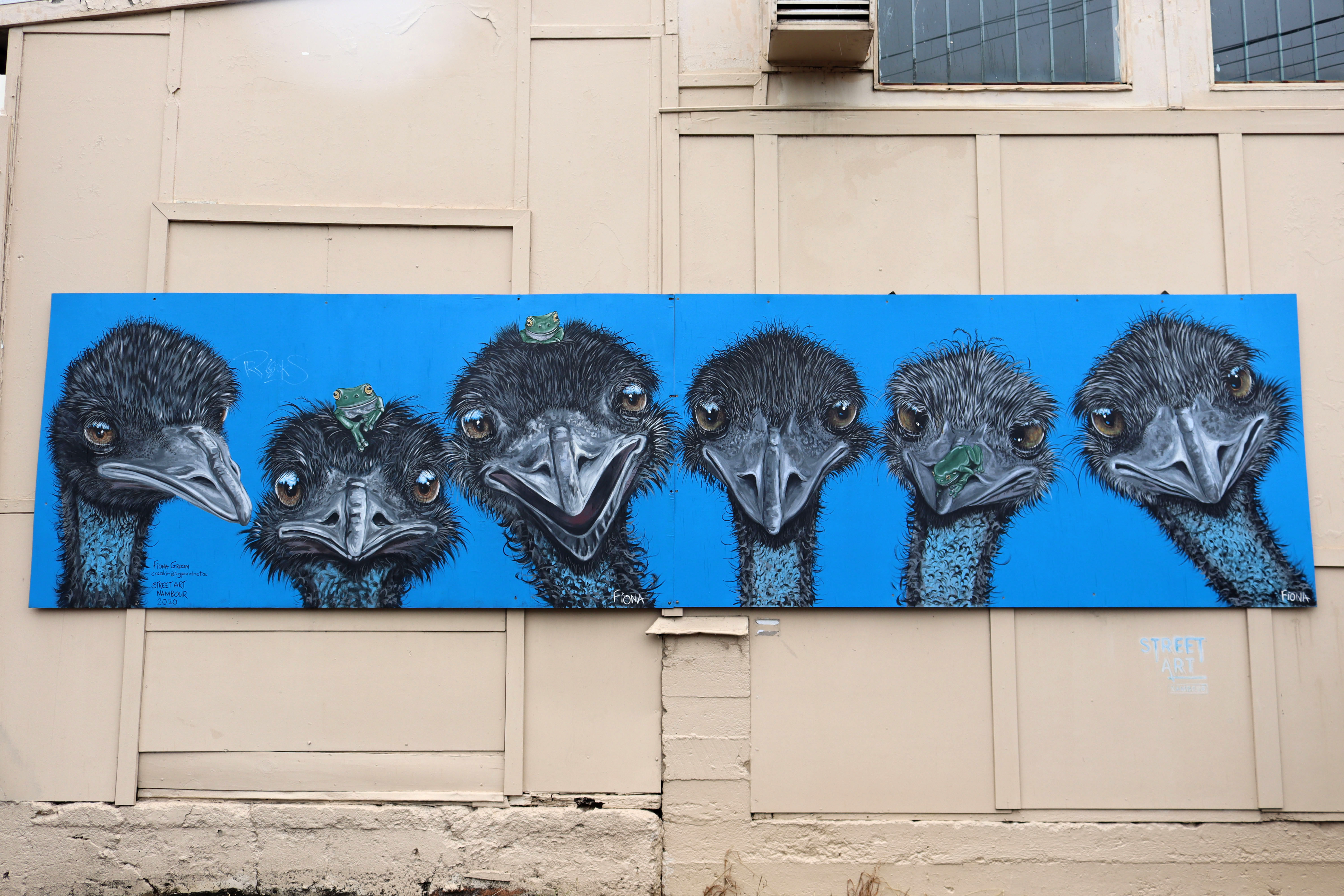 Untitled by Fiona Groom | Street Art NSW