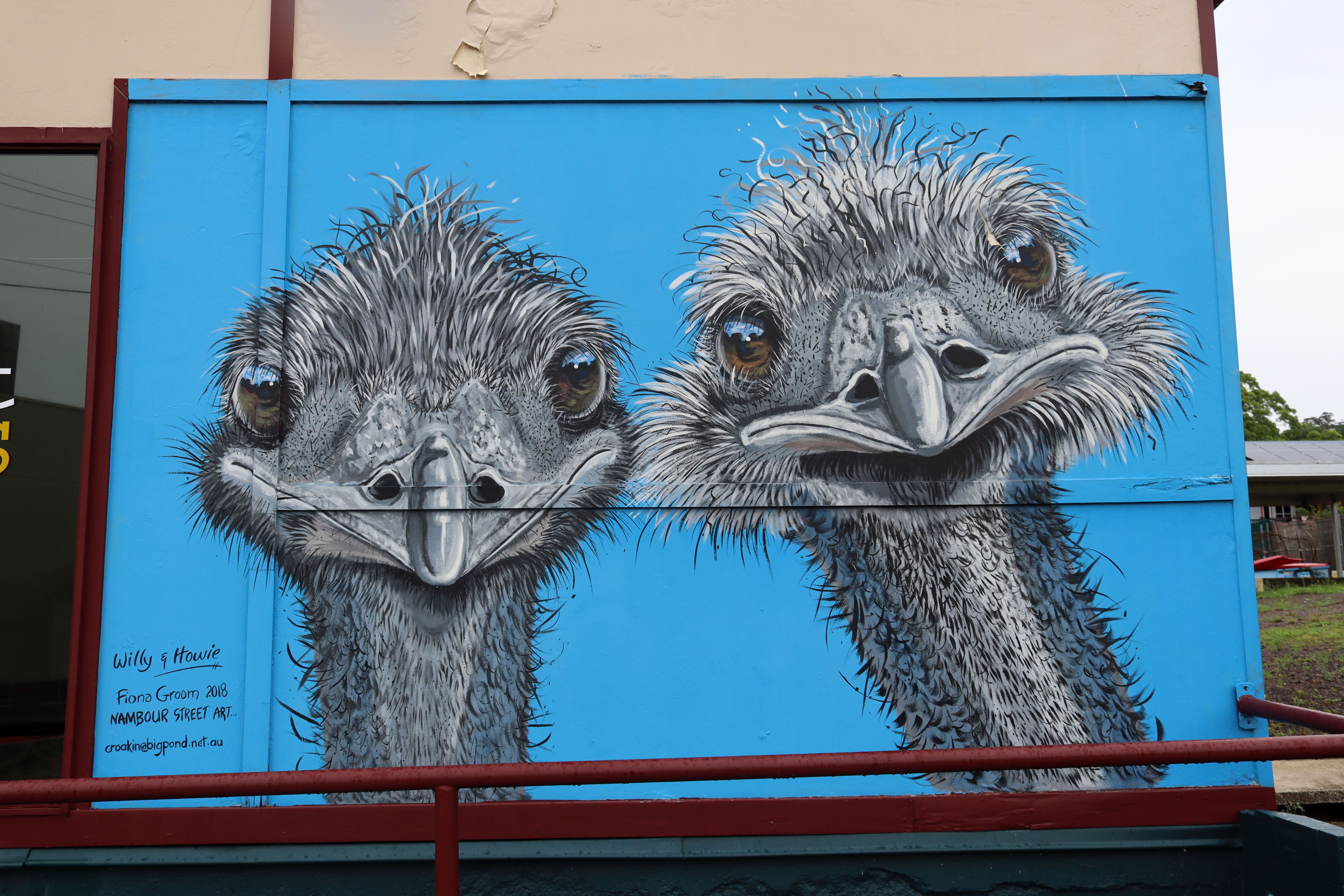 Willy & Howie by Fiona Groom | Street Art NSW