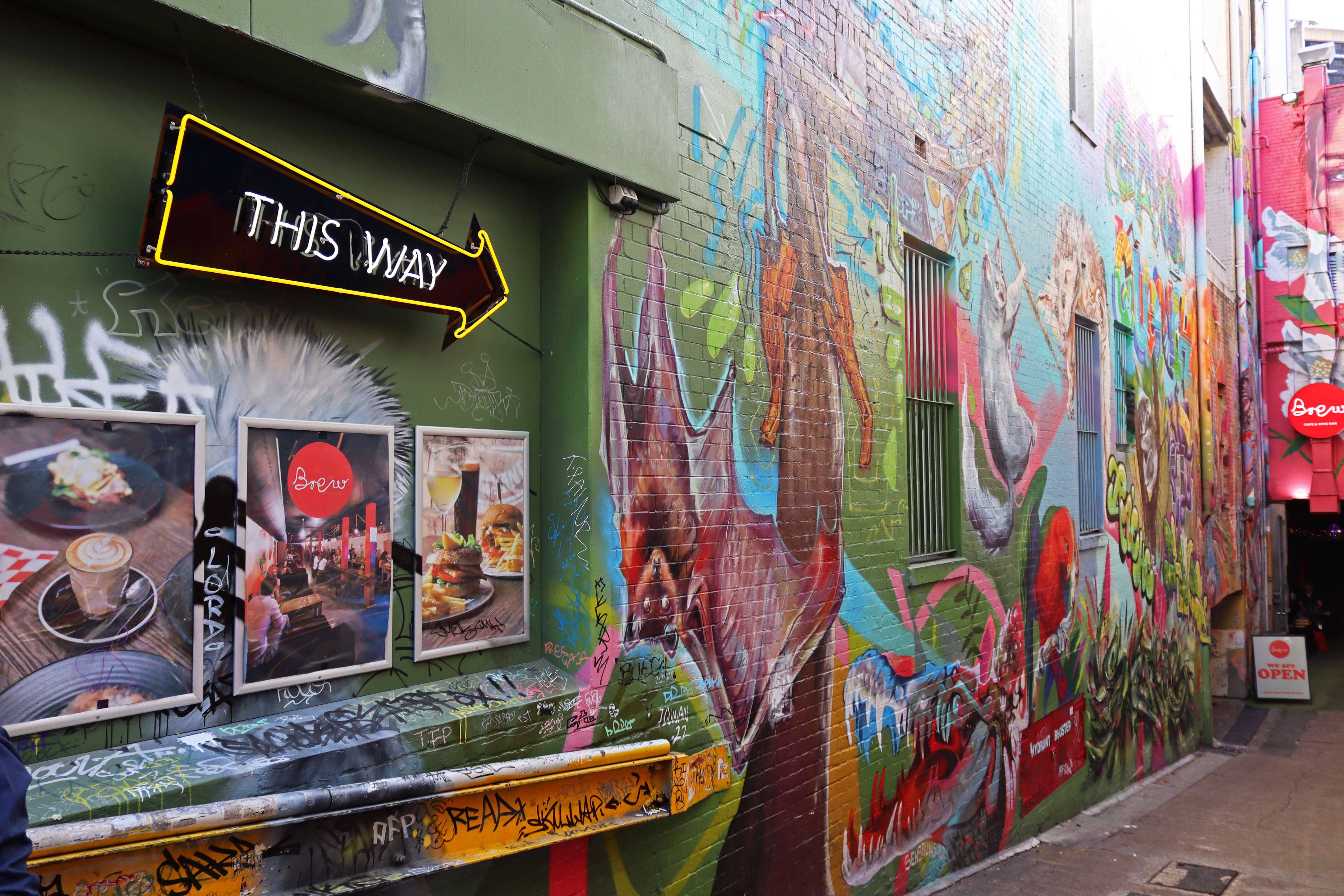Untitled by Ella Senbruns | Street Art NSW