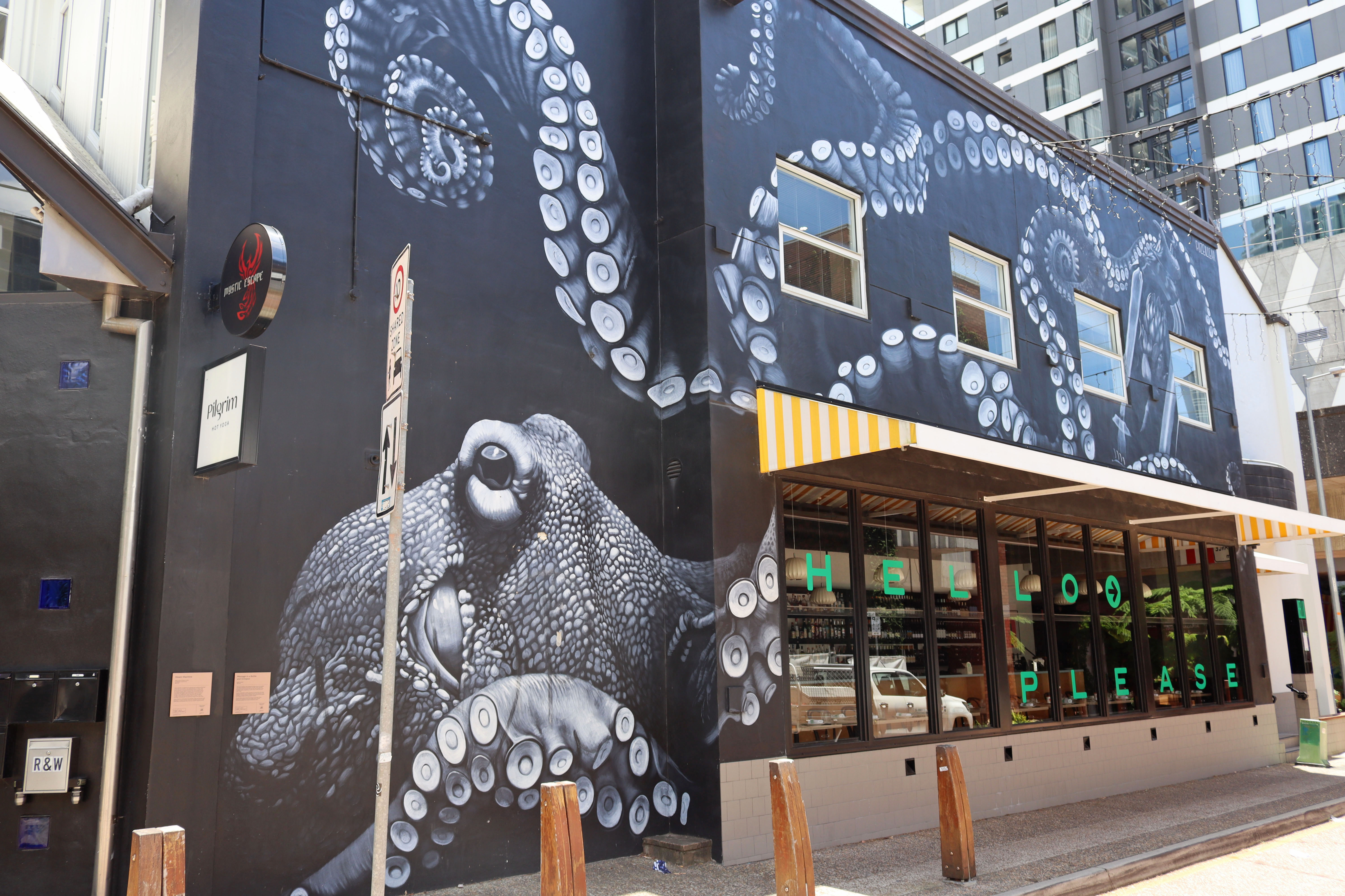 Message in a Bottle and Octopus by Fuzeillear | Street Art NSW