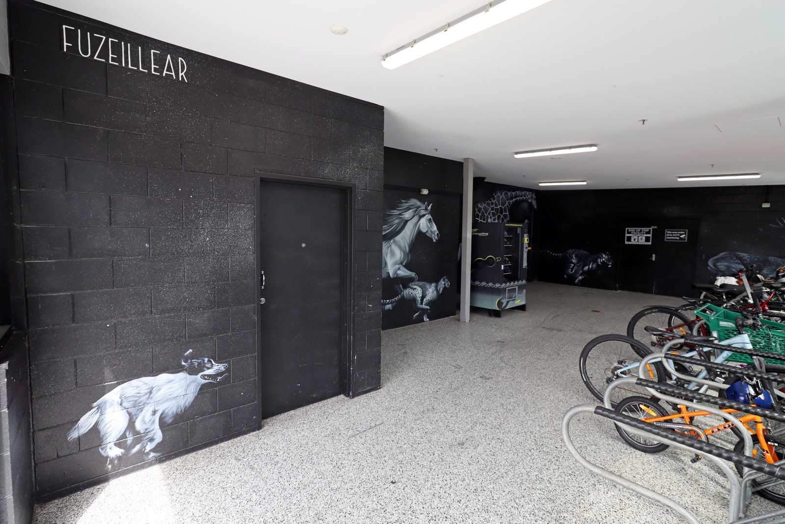 Untitled by Fuzeillear | Street Art NSW