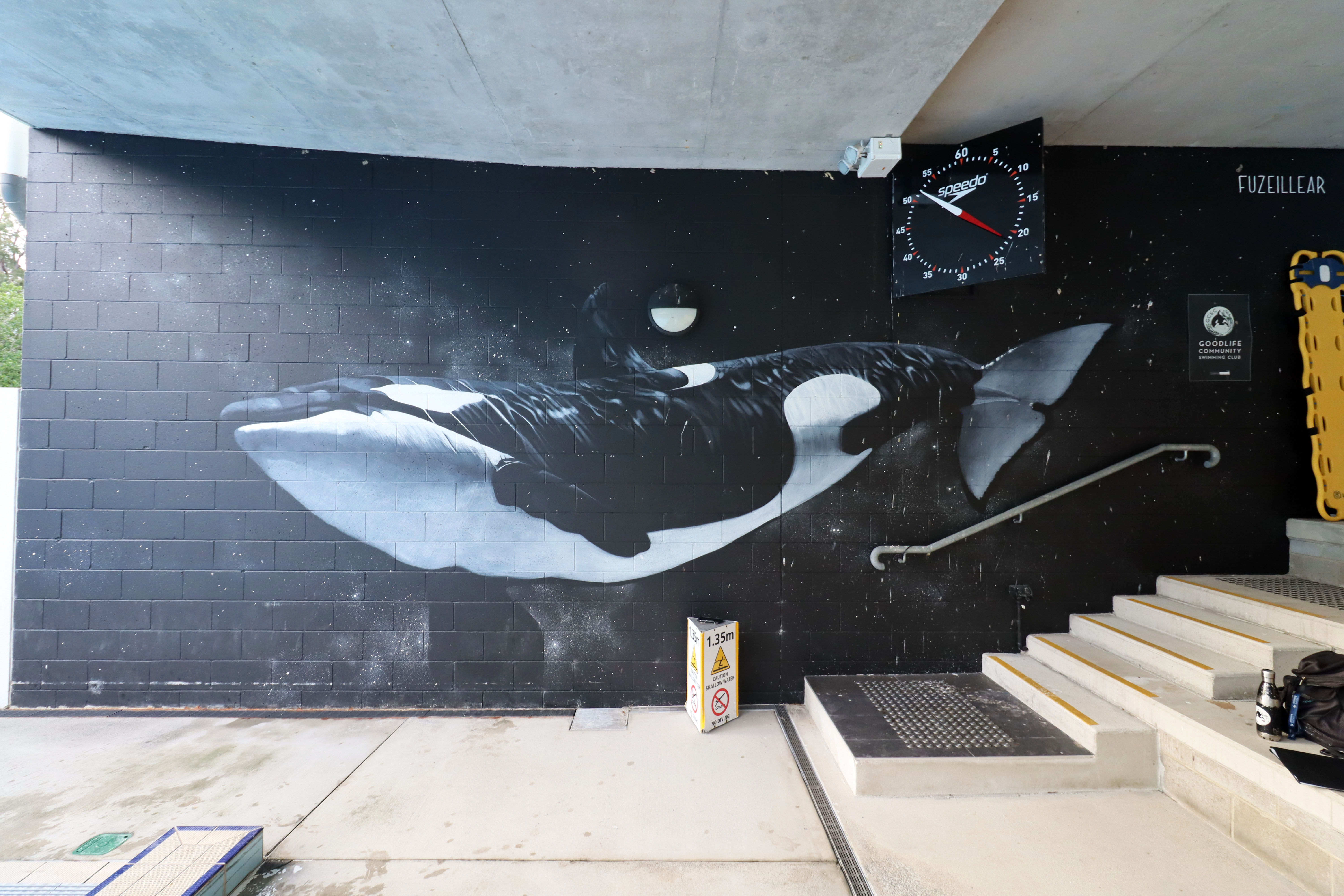 Orca by Fuzeillear | Street Art NSW