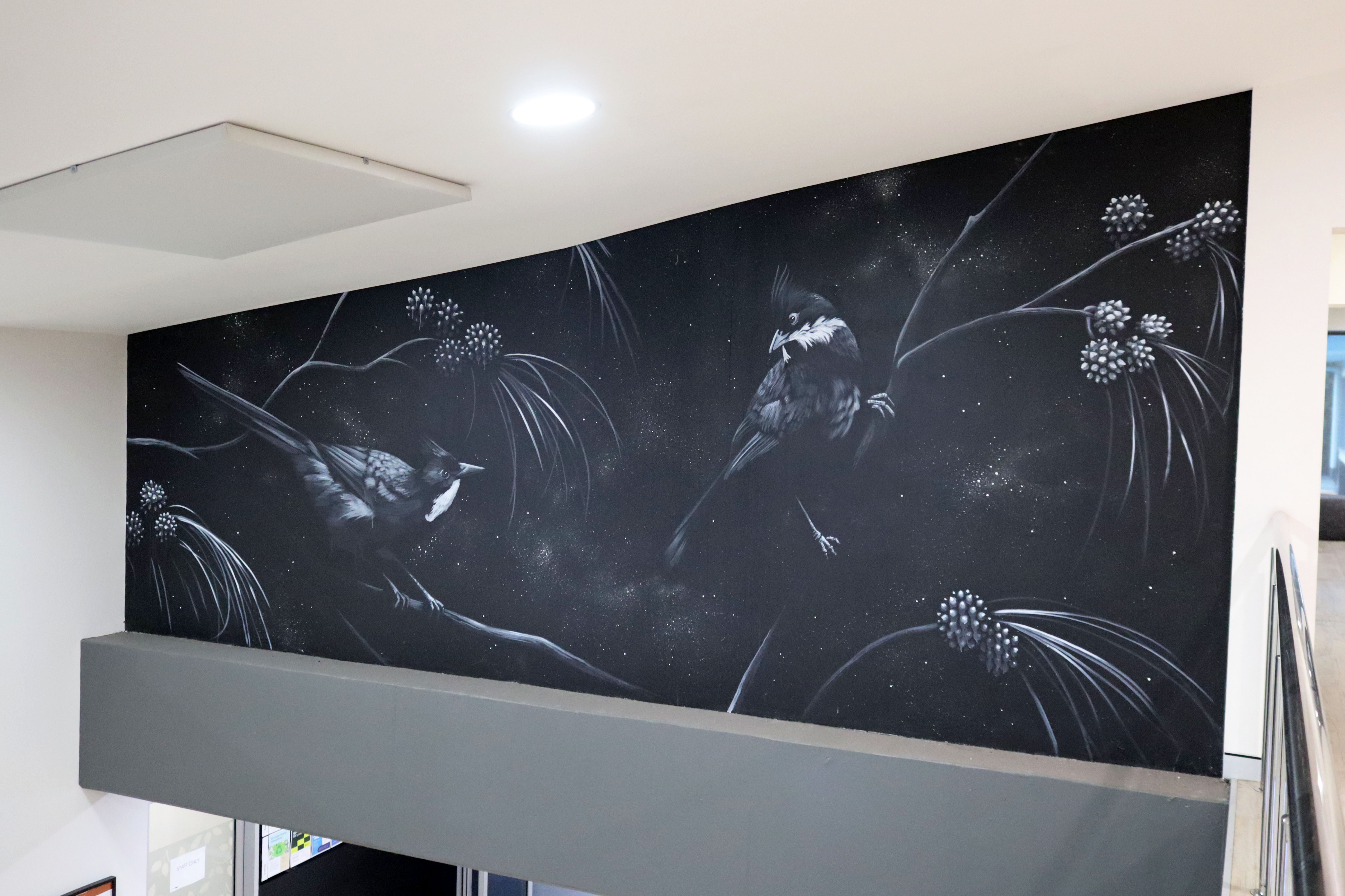 Whipbirds by Fuzeillear | Street Art NSW