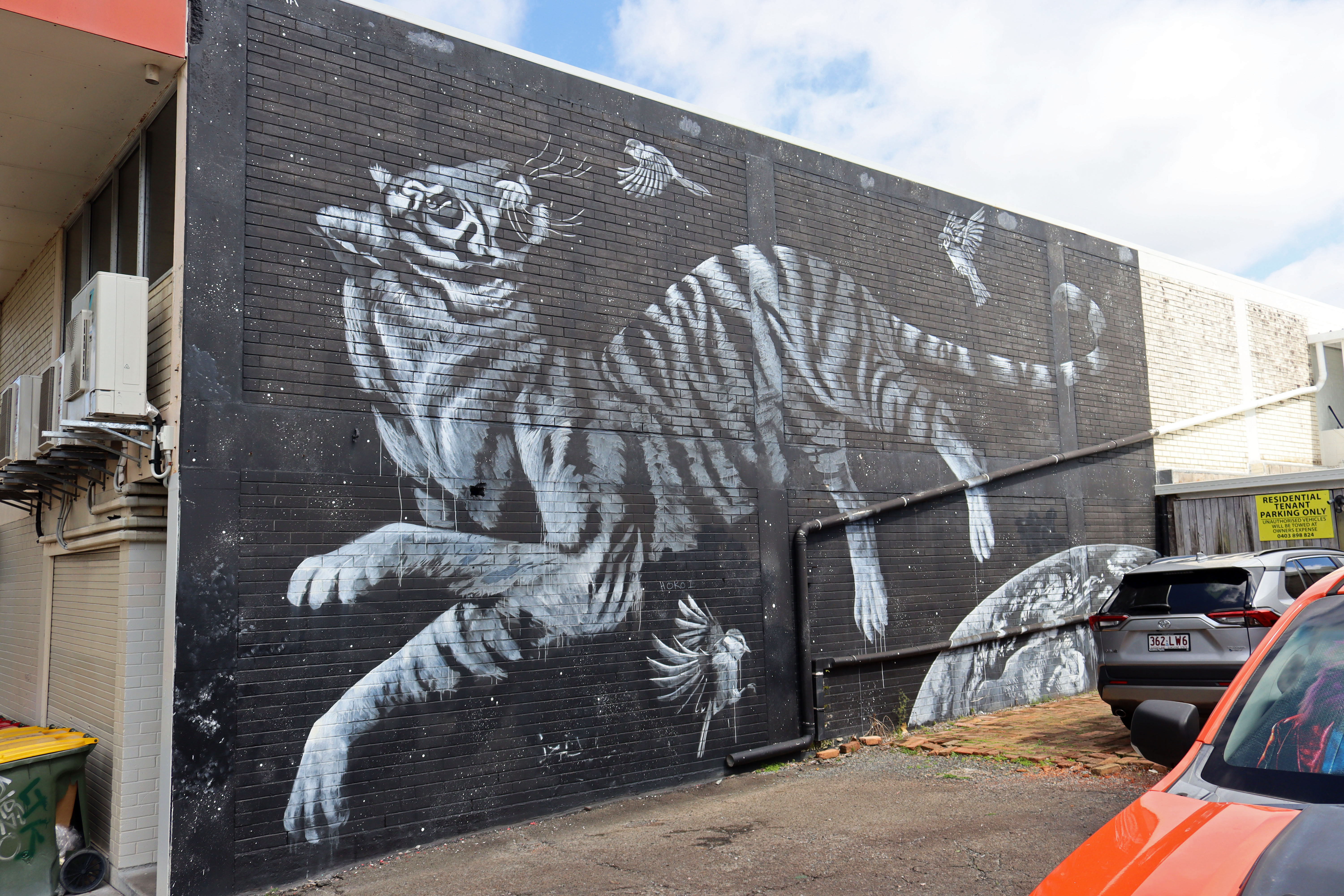 Hopeful IV by Fuzeillear | Street Art NSW