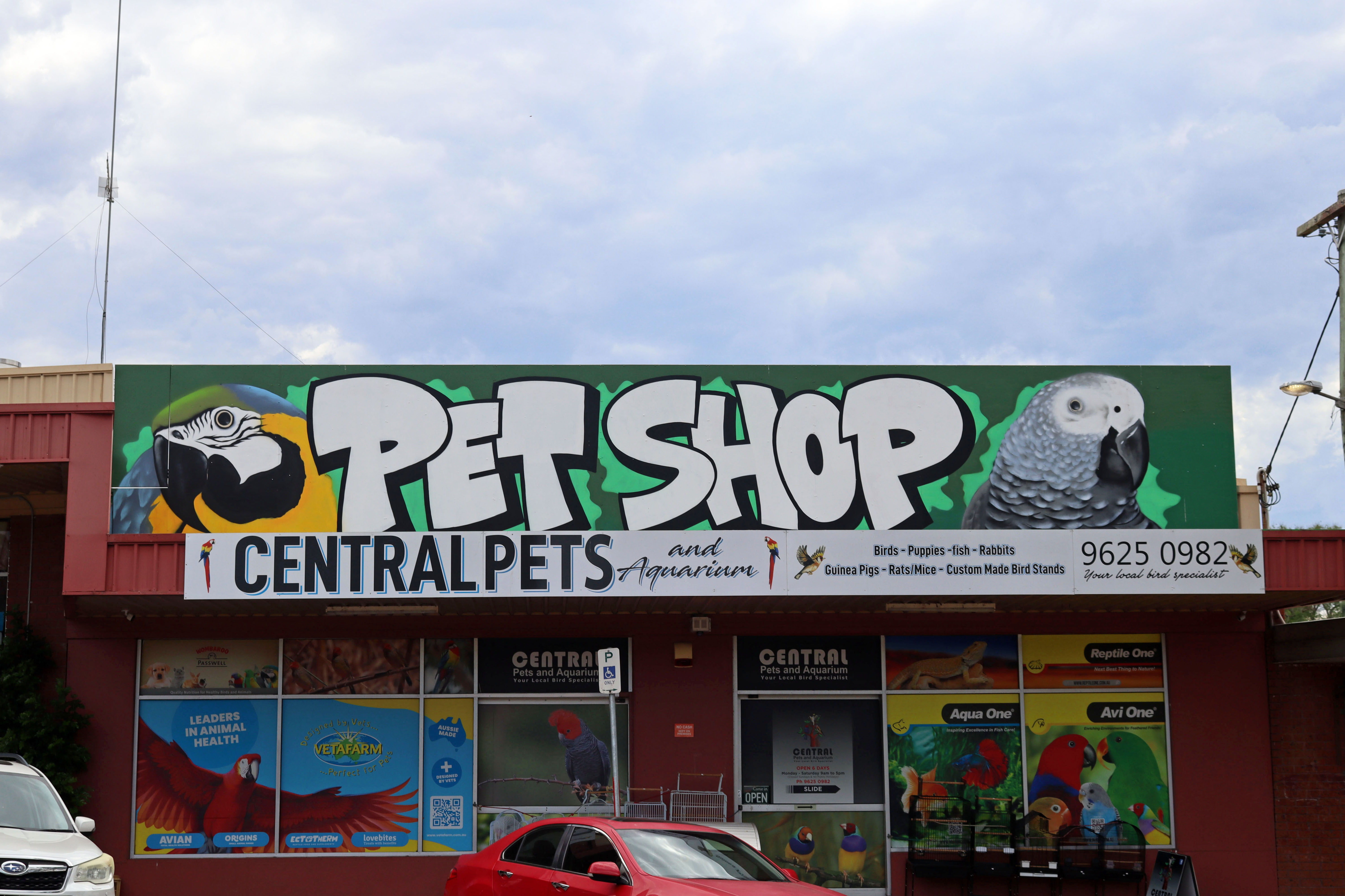 Pet Shop by Aerosol Walls | Street Art NSW