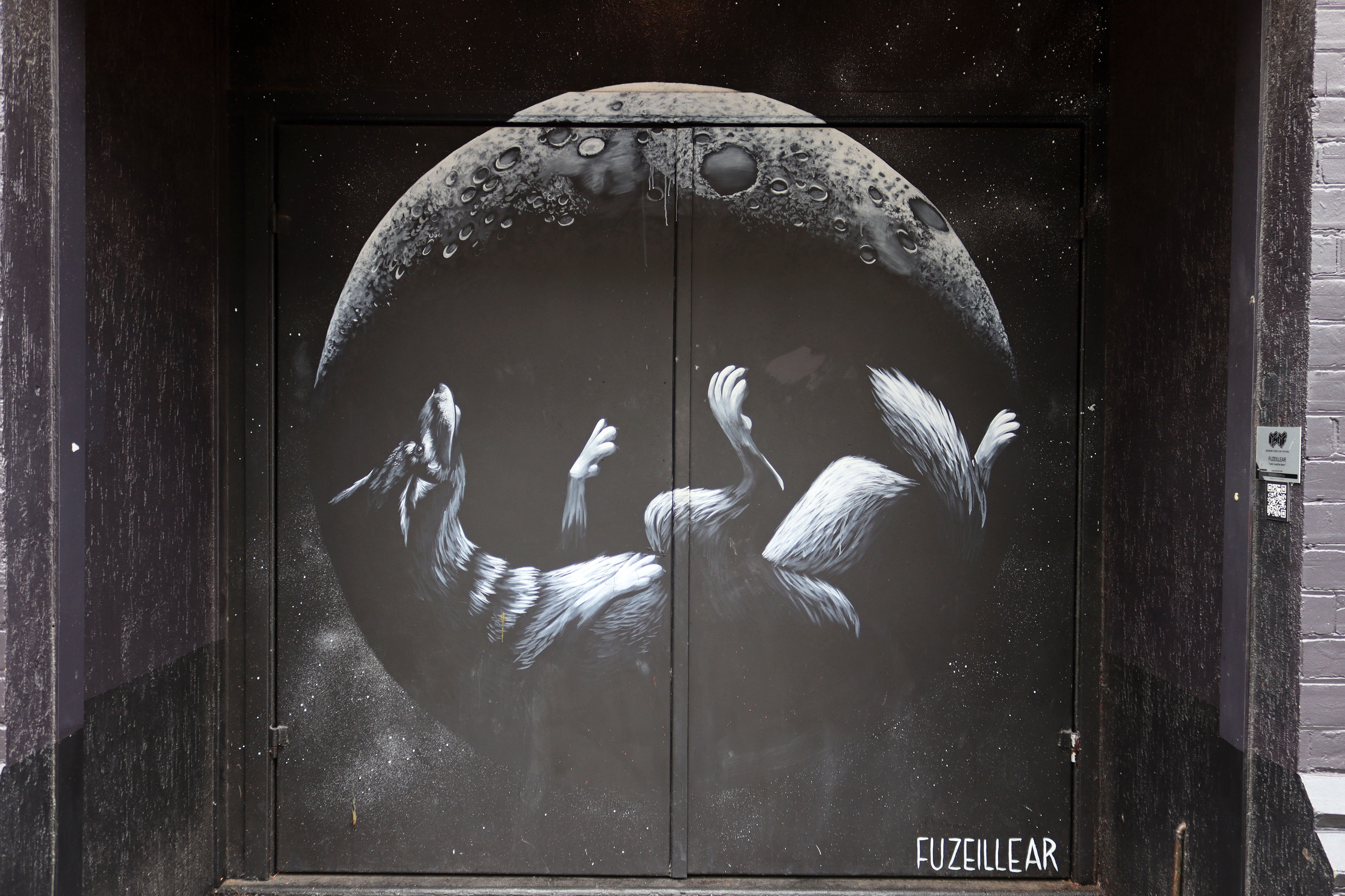 Untitled by Fuzeillear | Street Art NSW