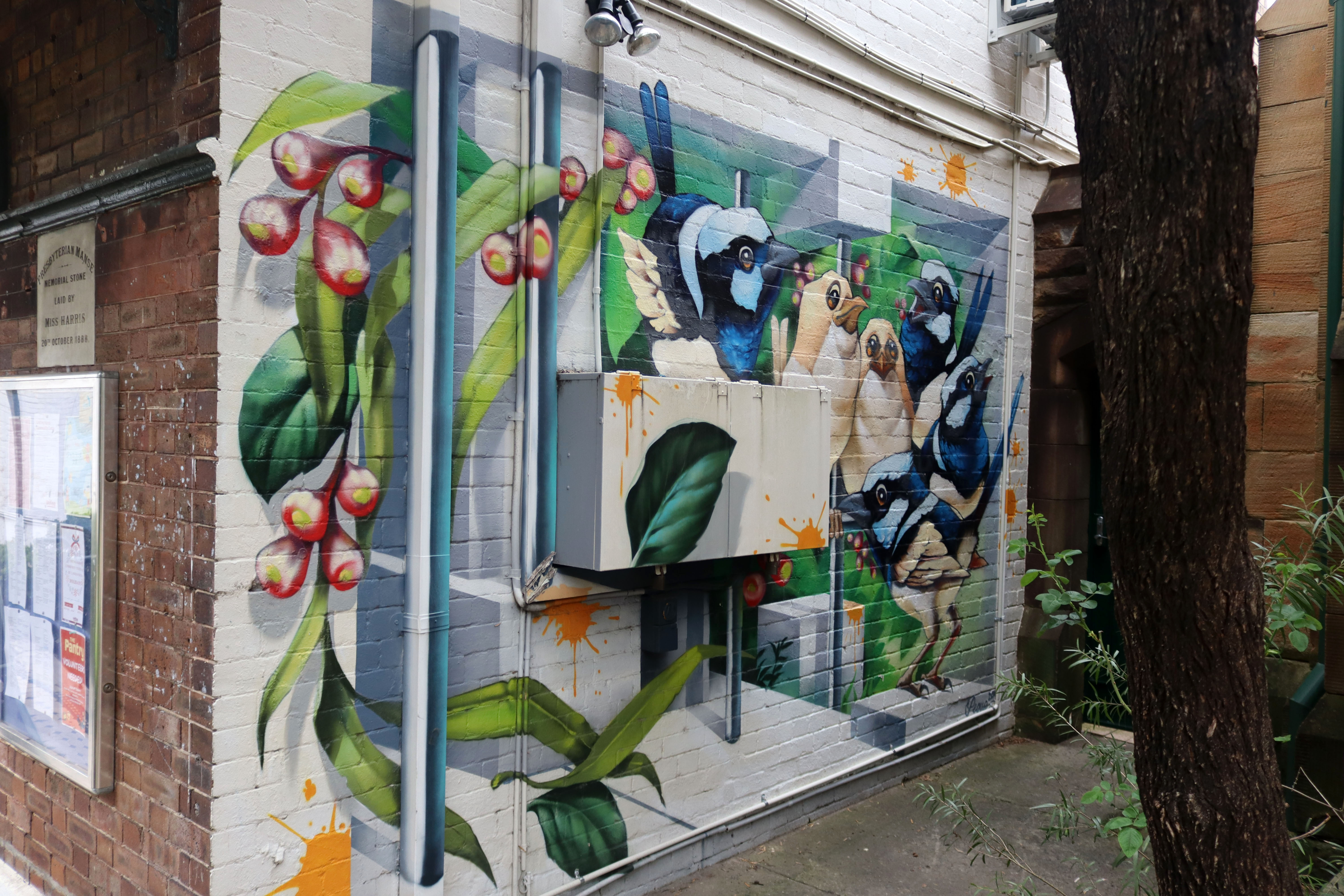 Untitled by Peque | Street Art NSW