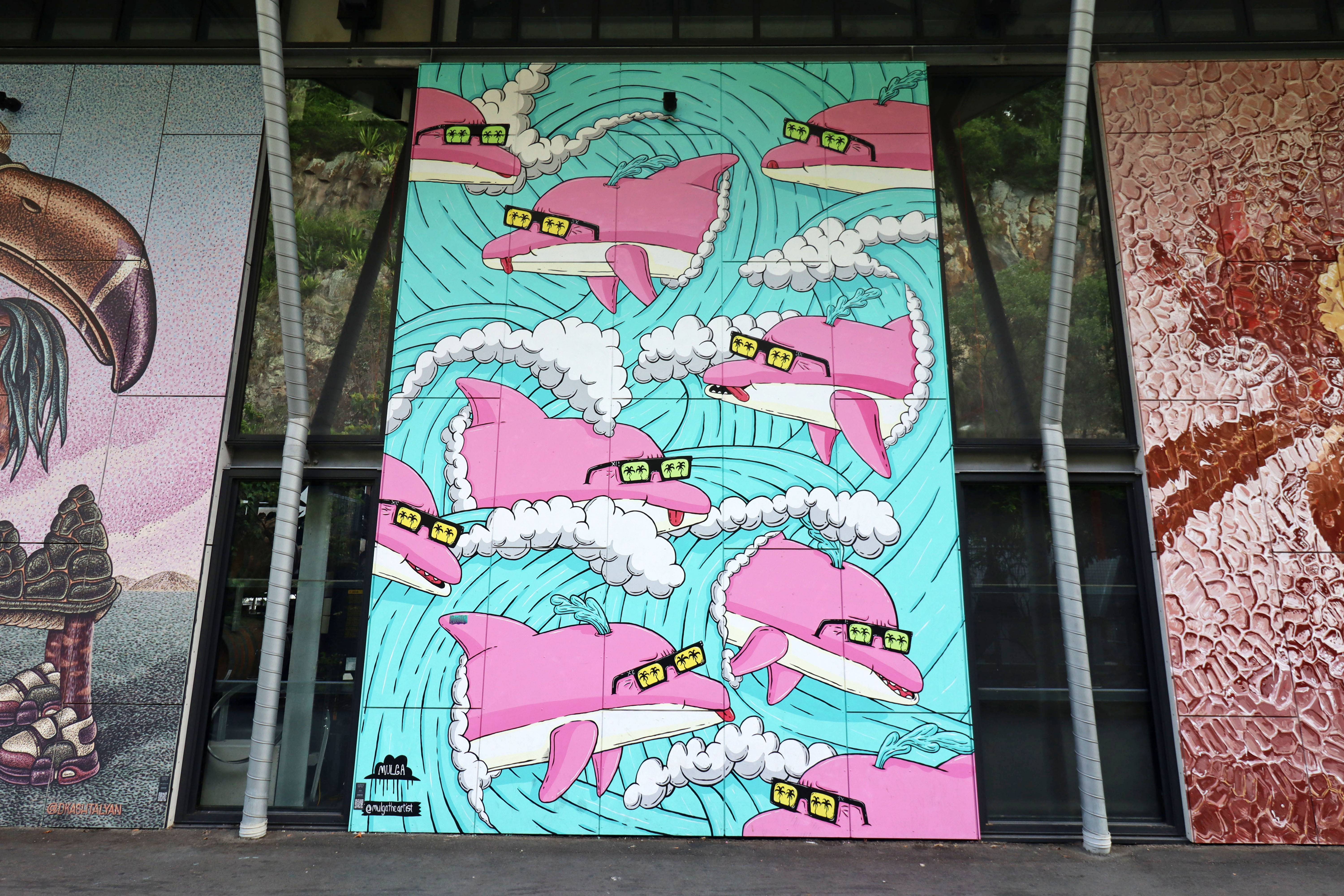 Pink Dolphin Aqua Waves