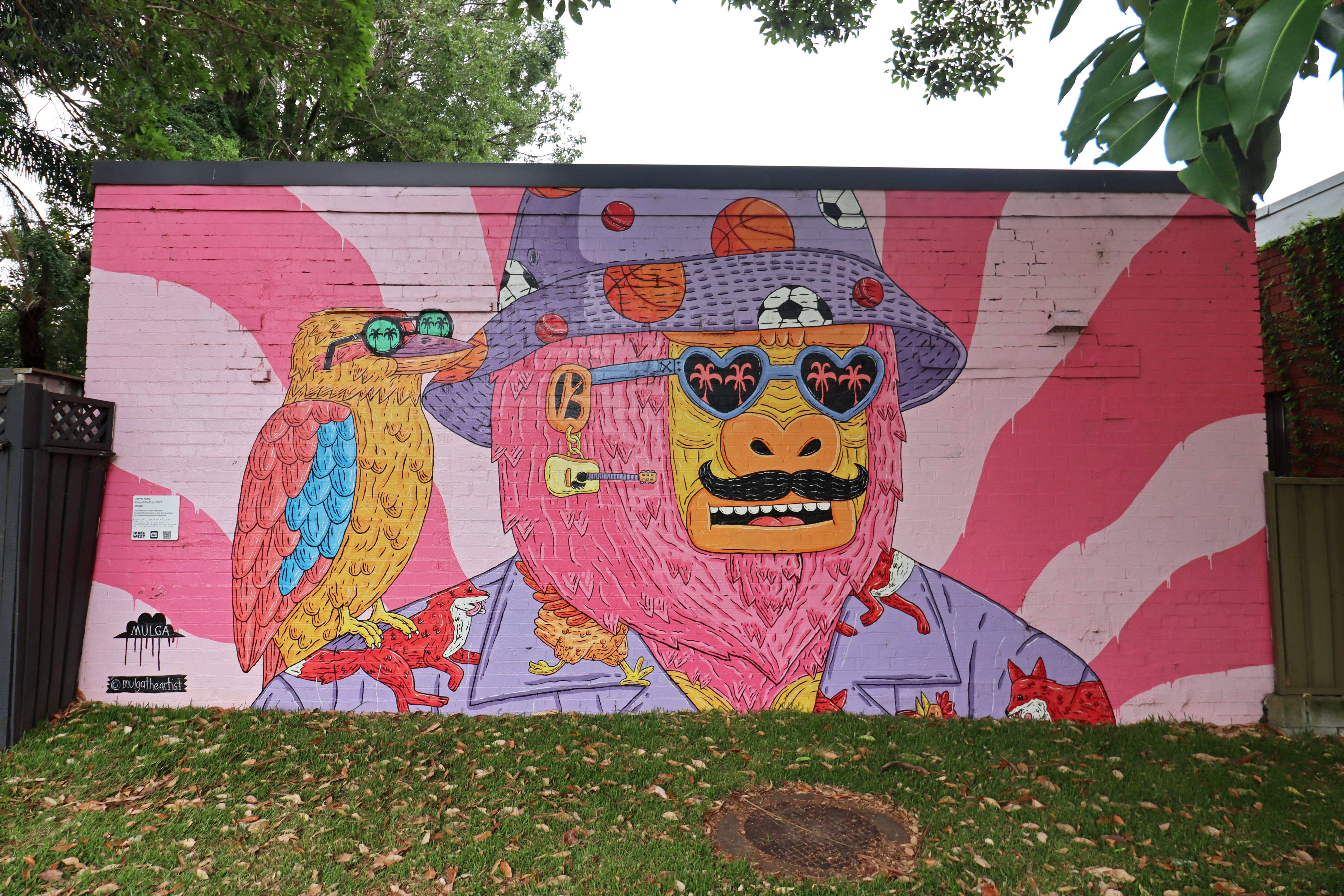 Jonno Kong – King of the Park by Mulga | Street Art NSW