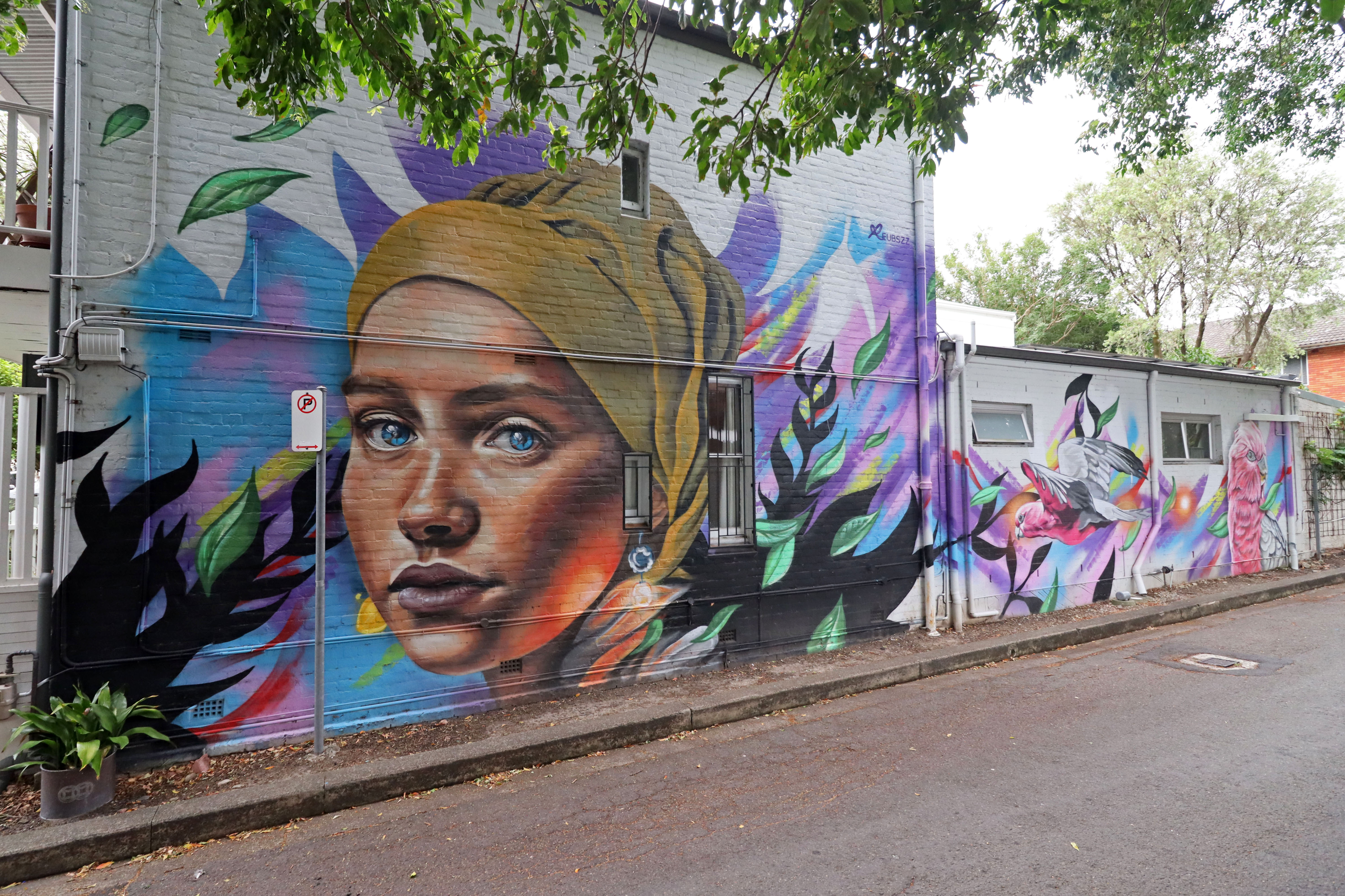 The Girl with the Pearl Earring by Reubszz | Street Art NSW